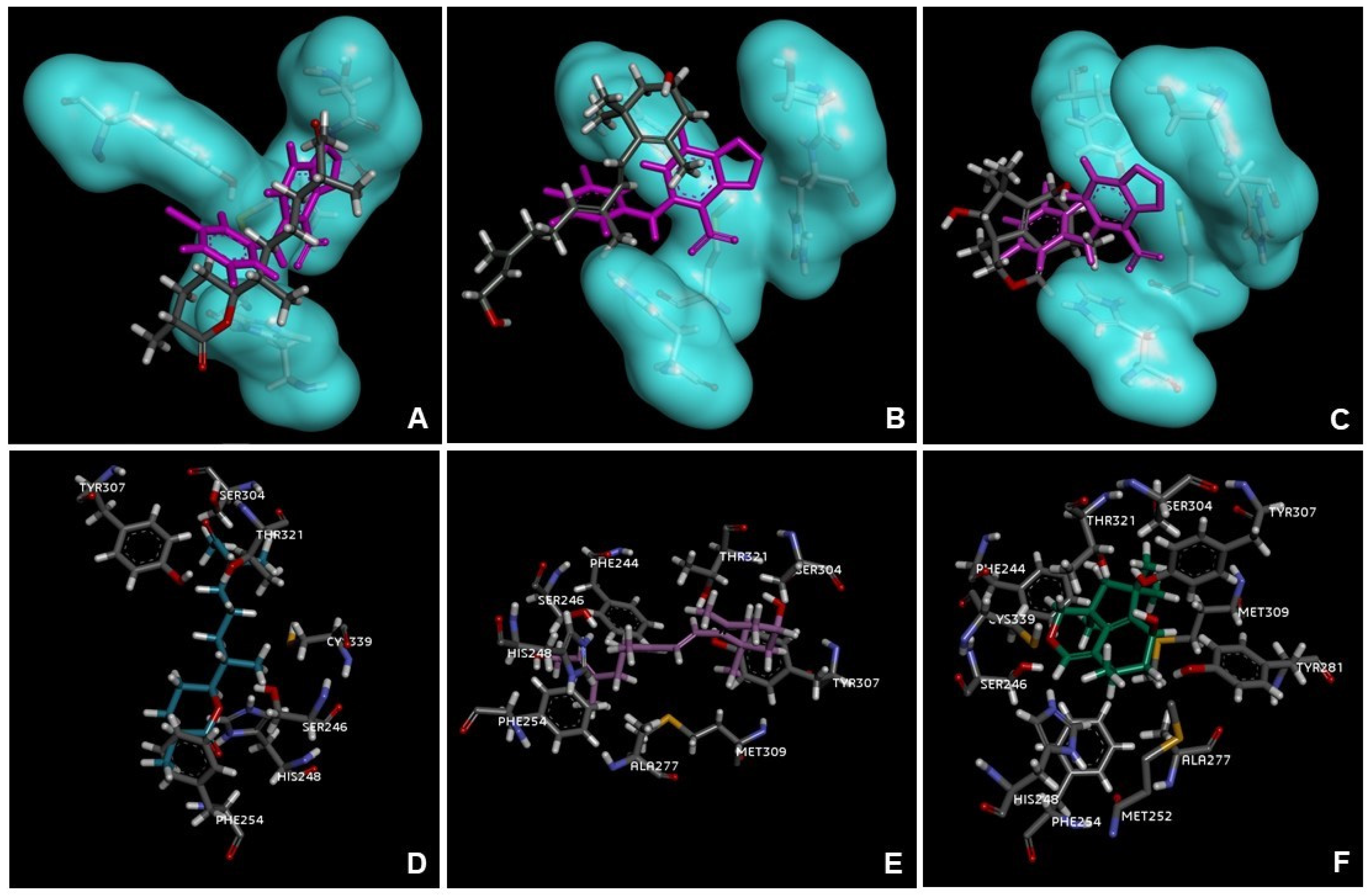 Marinedrugs 21 00318 g005 Marinedrugs 21 00318 g005