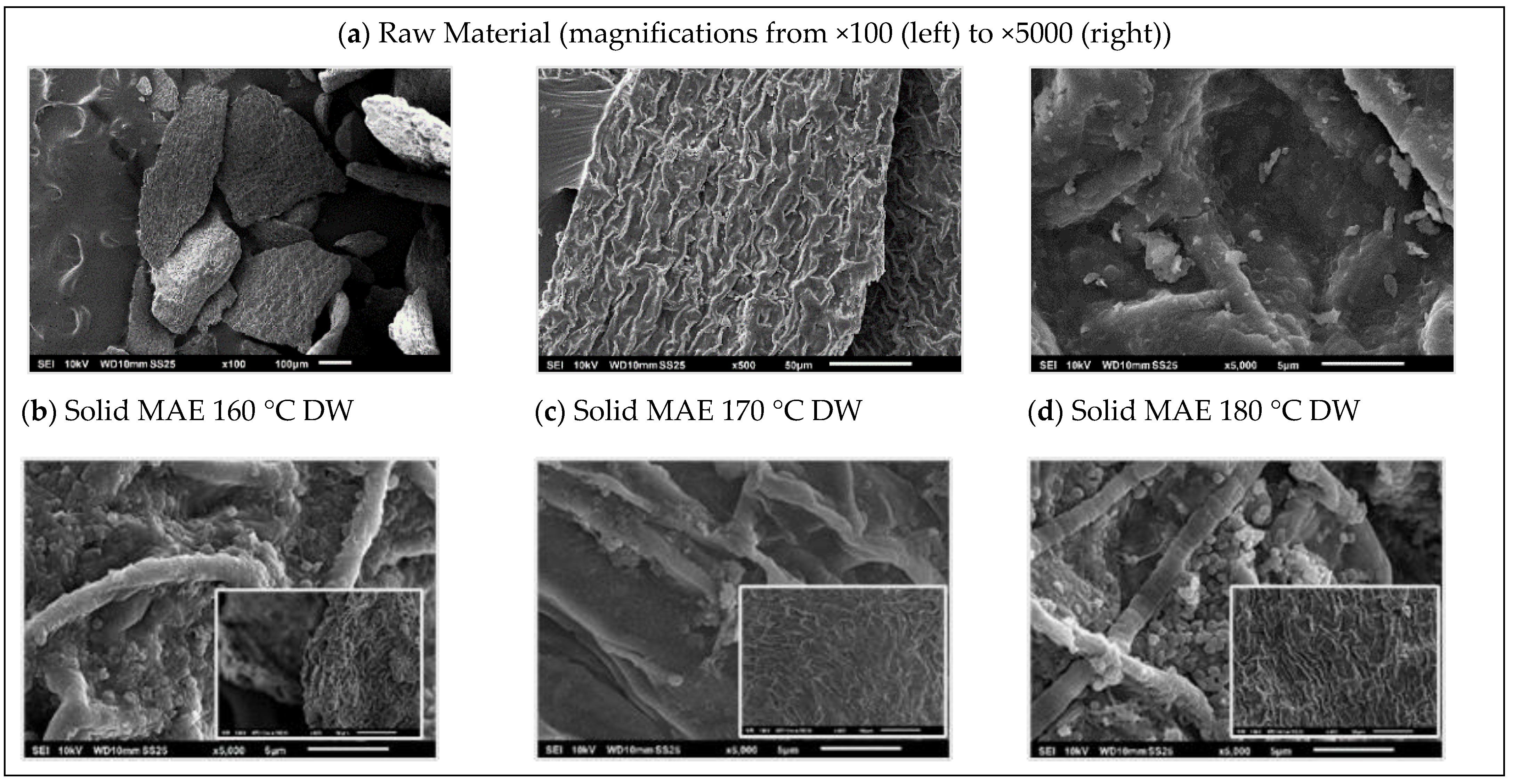 Marinedrugs 21 00319 g008a Marinedrugs 21 00319 g008a