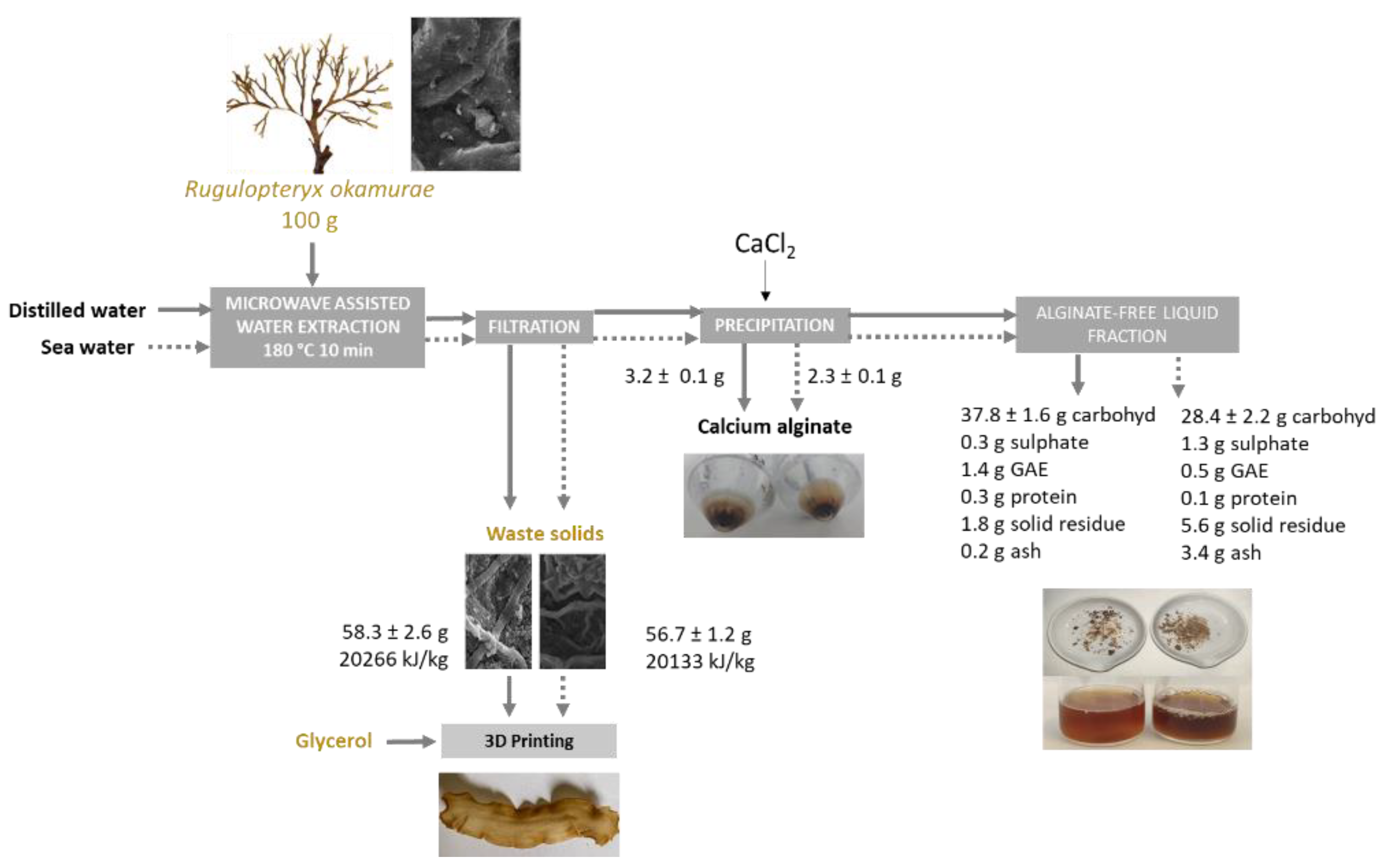 Marinedrugs 21 00319 g010 Marinedrugs 21 00319 g010