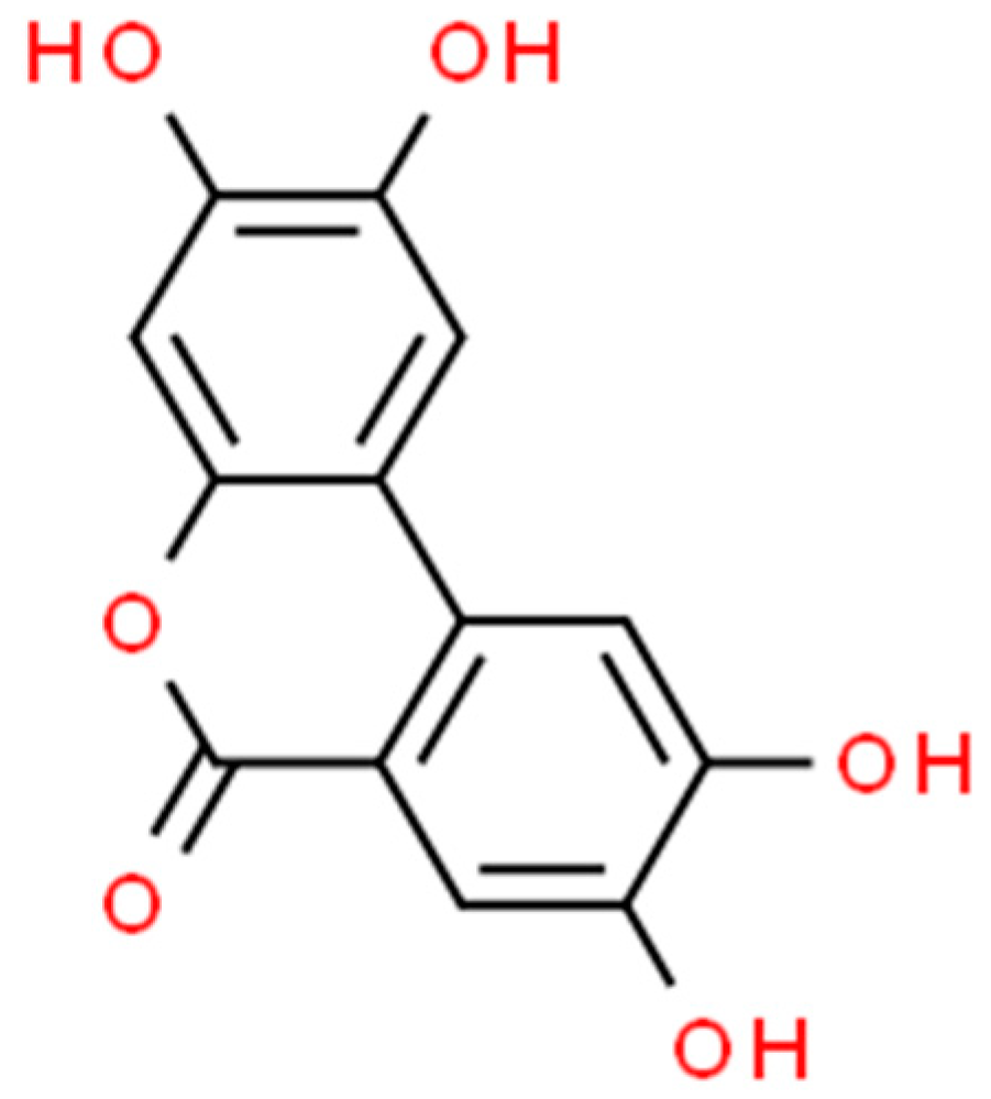 Marinedrugs 21 00323 g024 Marinedrugs 21 00323 g024