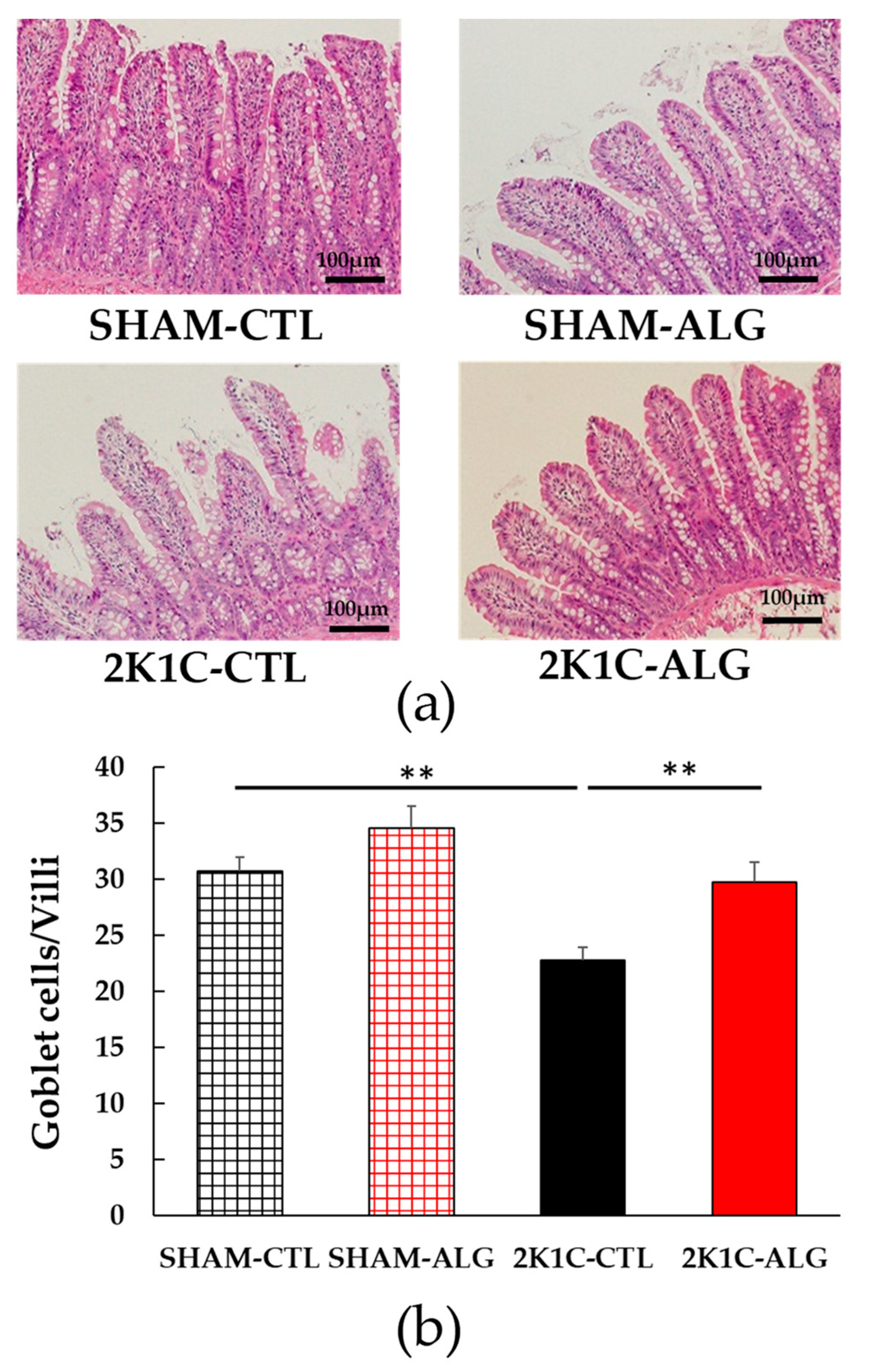 Marinedrugs 21 00324 g005 Marinedrugs 21 00324 g005