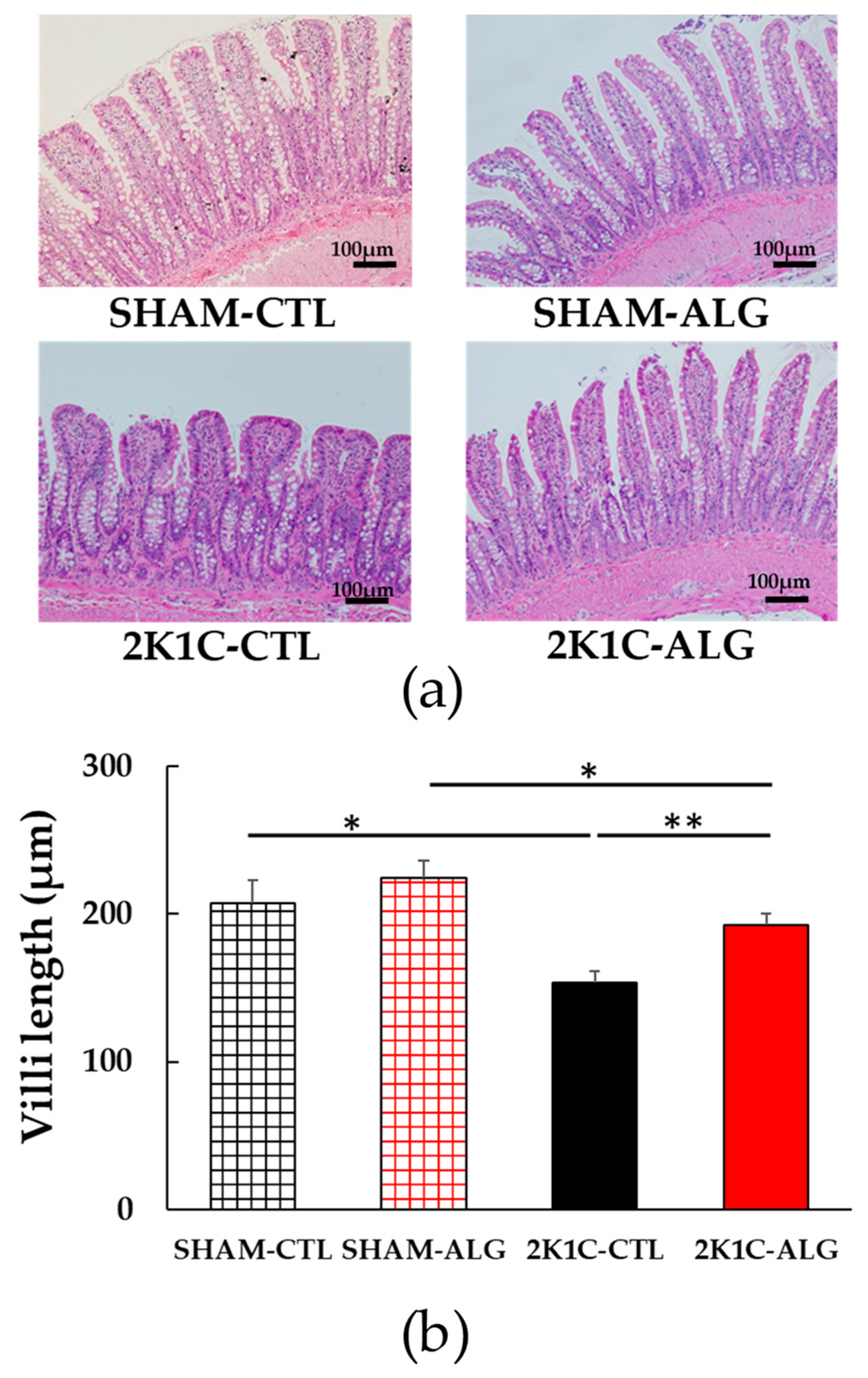 Marinedrugs 21 00324 g006 Marinedrugs 21 00324 g006