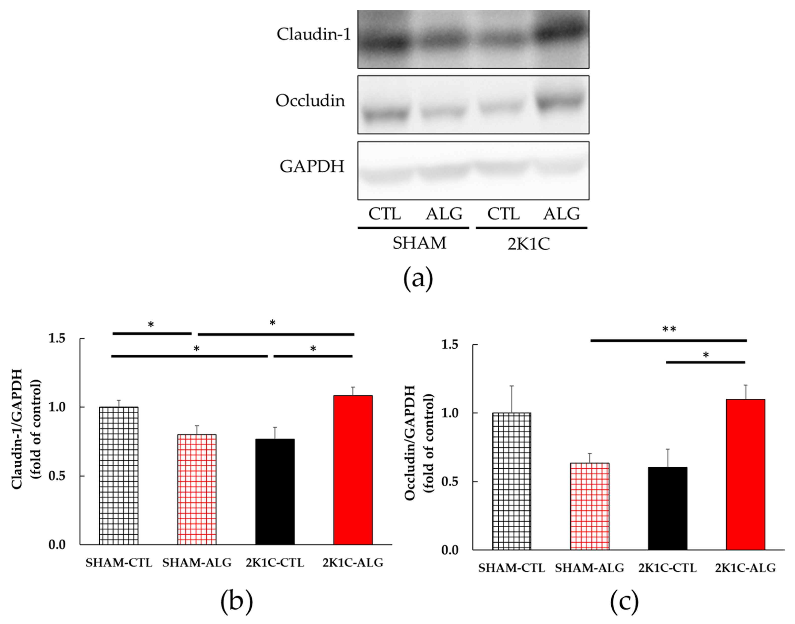 Marinedrugs 21 00324 g007 Marinedrugs 21 00324 g007