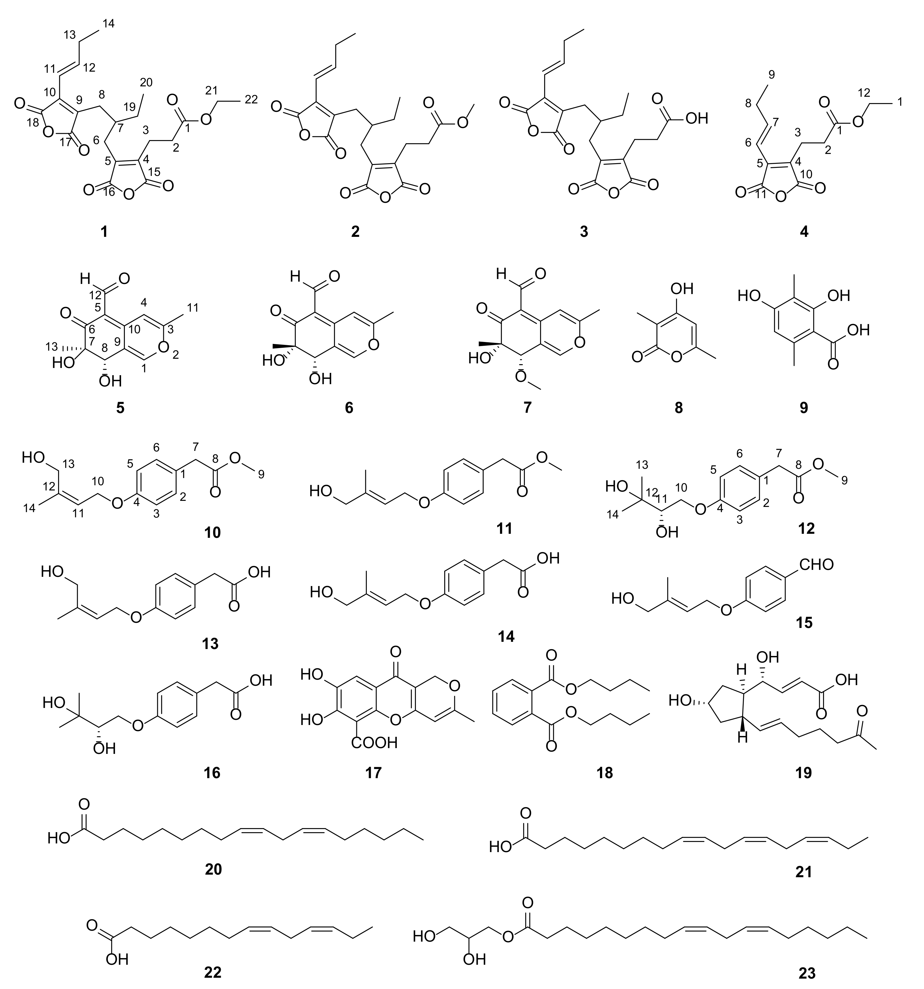 Marinedrugs 21 00327 g001