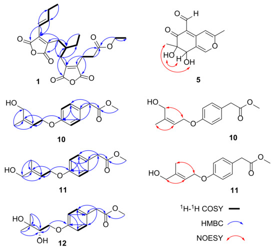 Bioactive Polyketides and Benzene Derivatives from Two