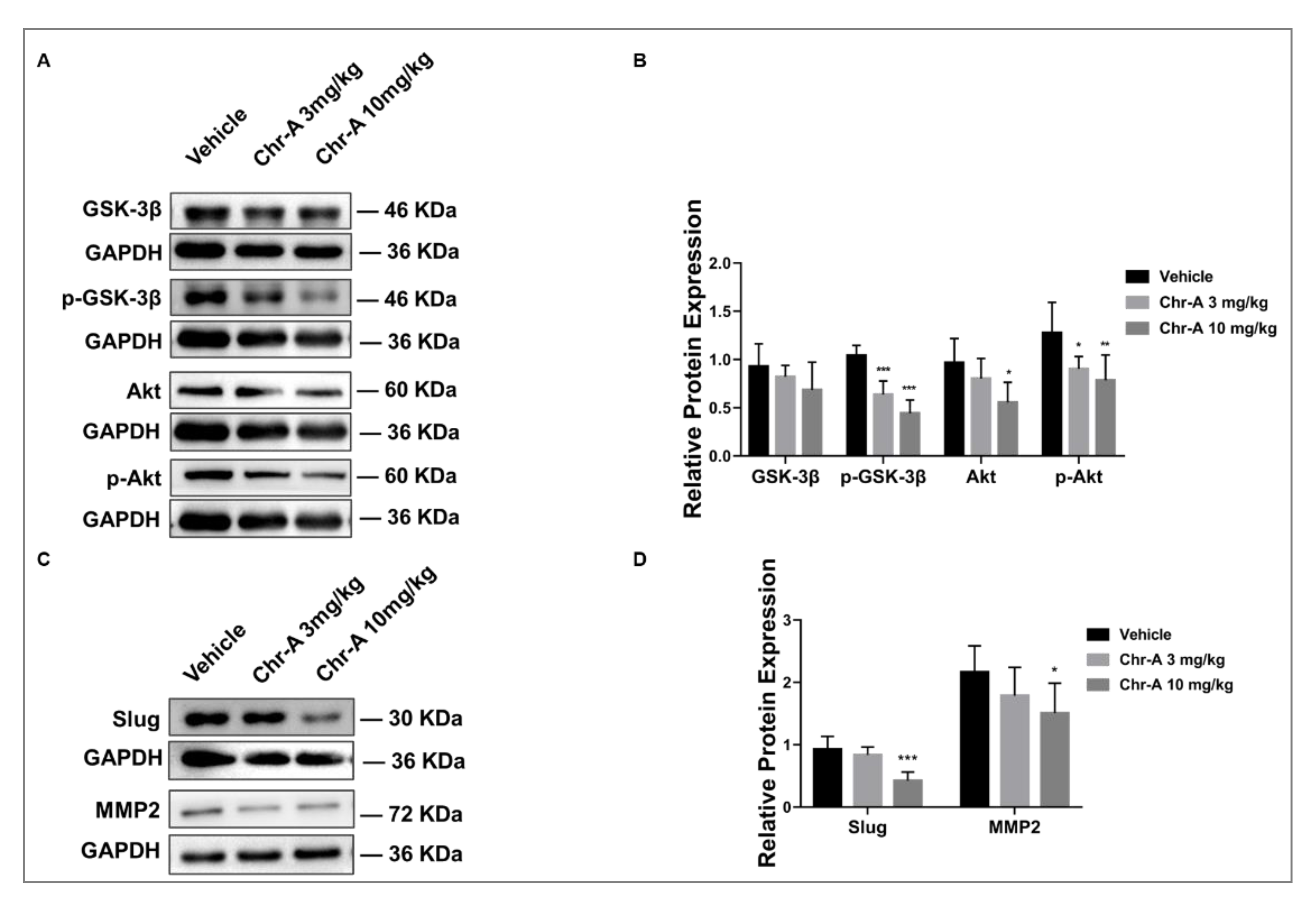 Marinedrugs 21 00329 g003 Marinedrugs 21 00329 g003