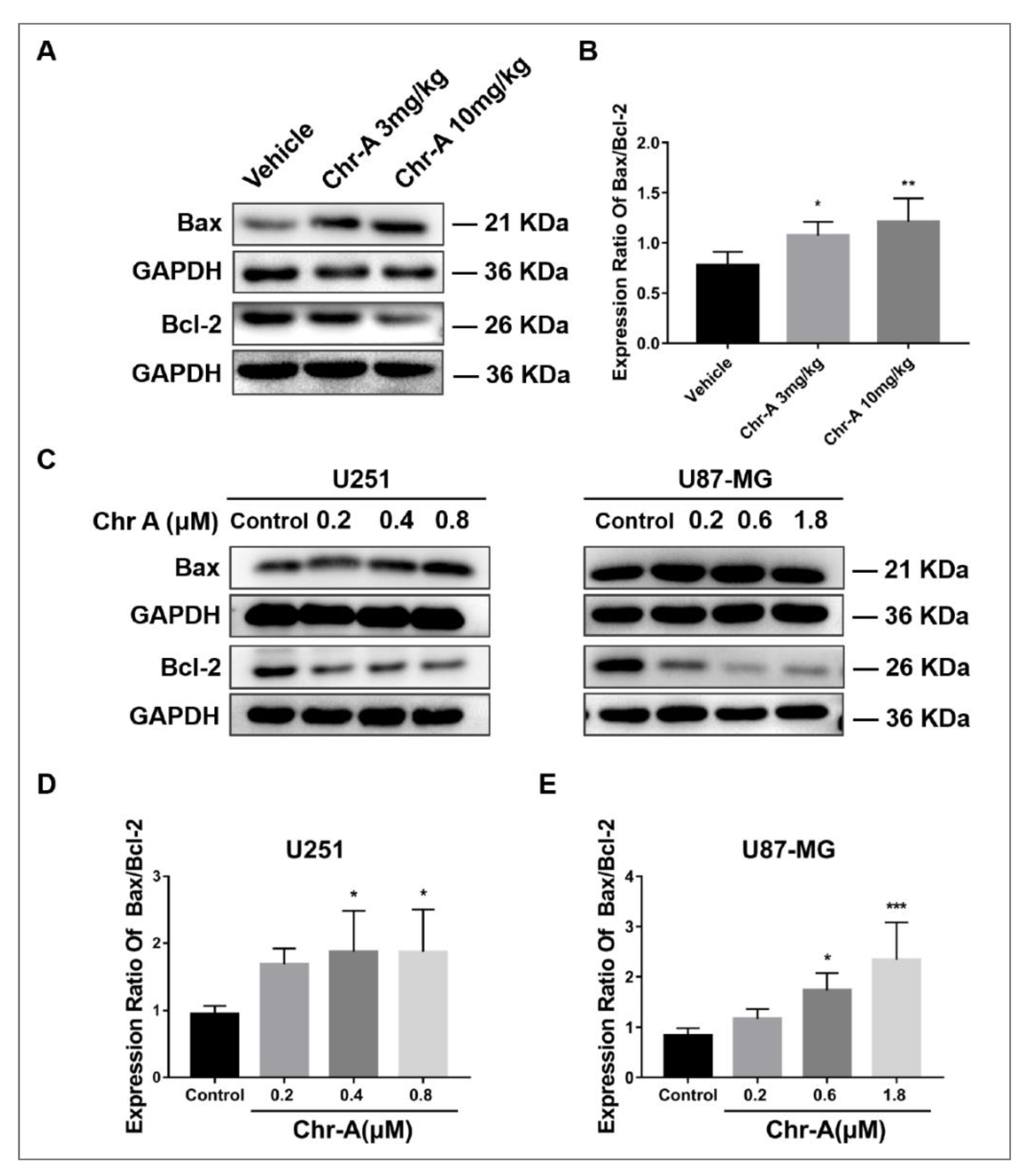 Marinedrugs 21 00329 g005 Marinedrugs 21 00329 g005