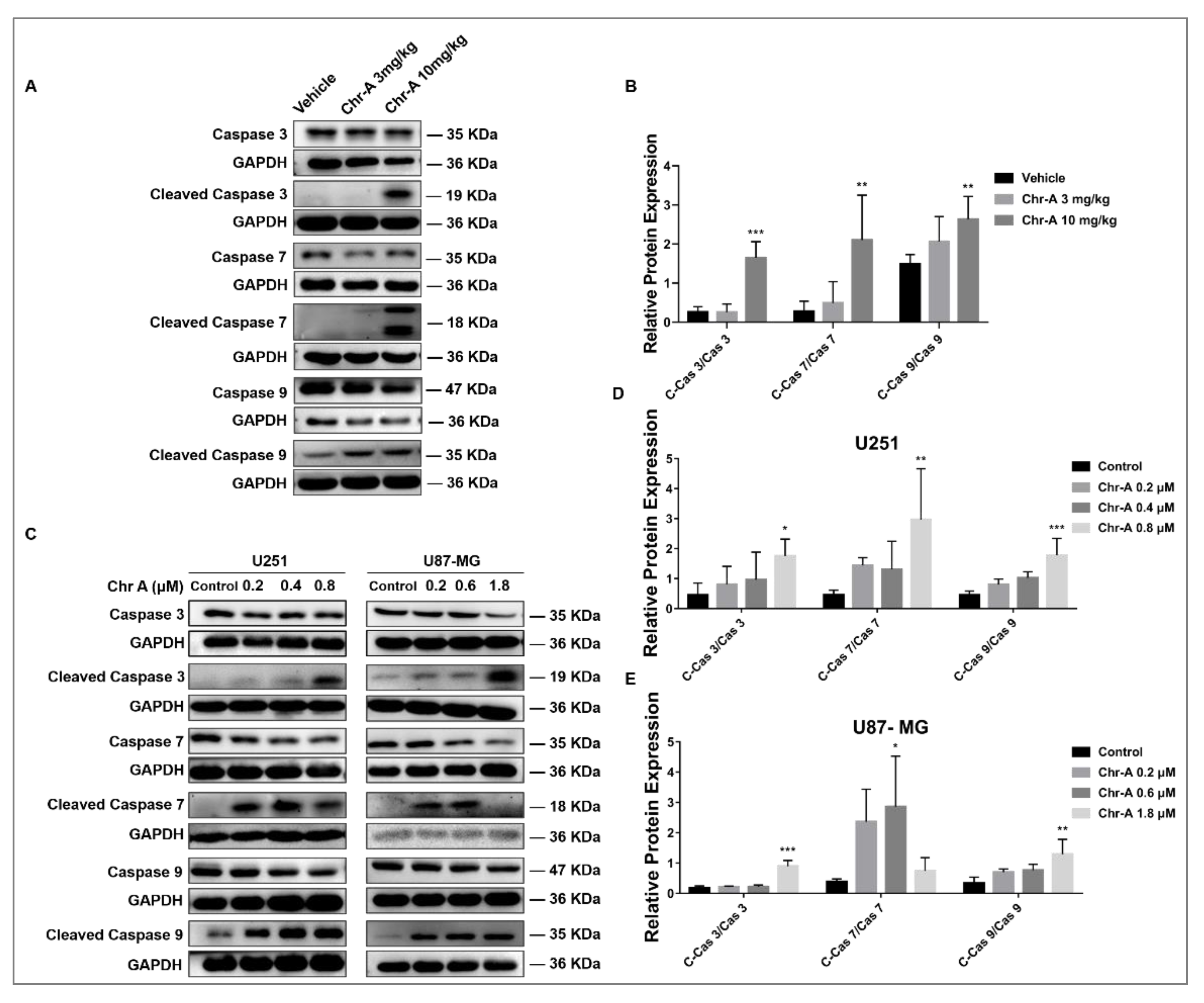Marinedrugs 21 00329 g006 Marinedrugs 21 00329 g006