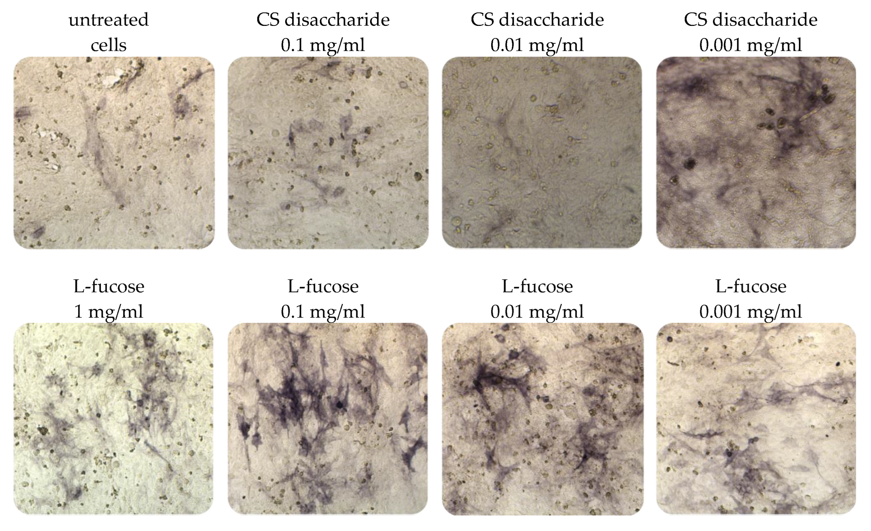 Marinedrugs 21 00330 g005 Marinedrugs 21 00330 g005