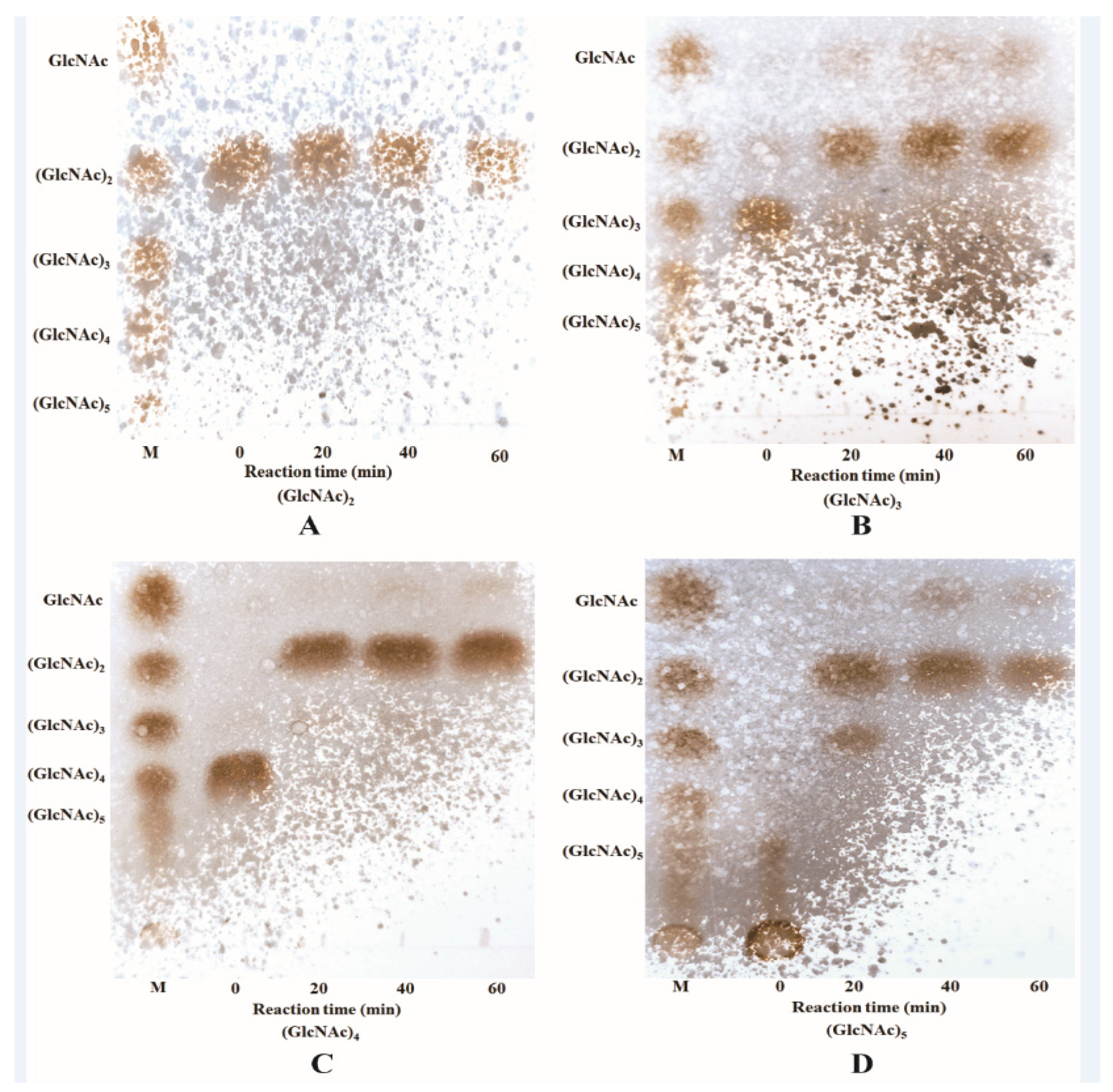 Marinedrugs 21 00332 g003 Marinedrugs 21 00332 g003