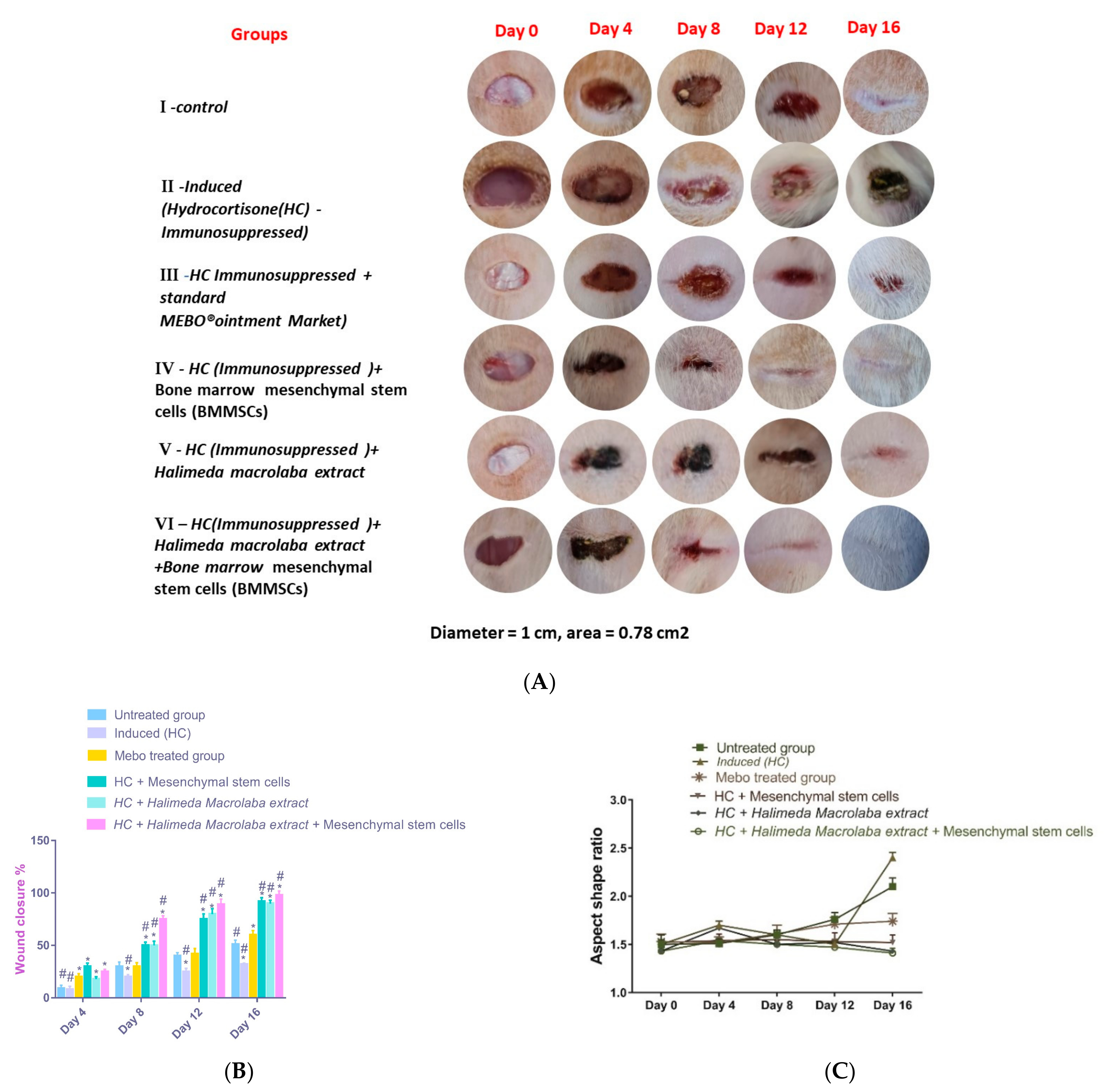 Marinedrugs 21 00336 g002