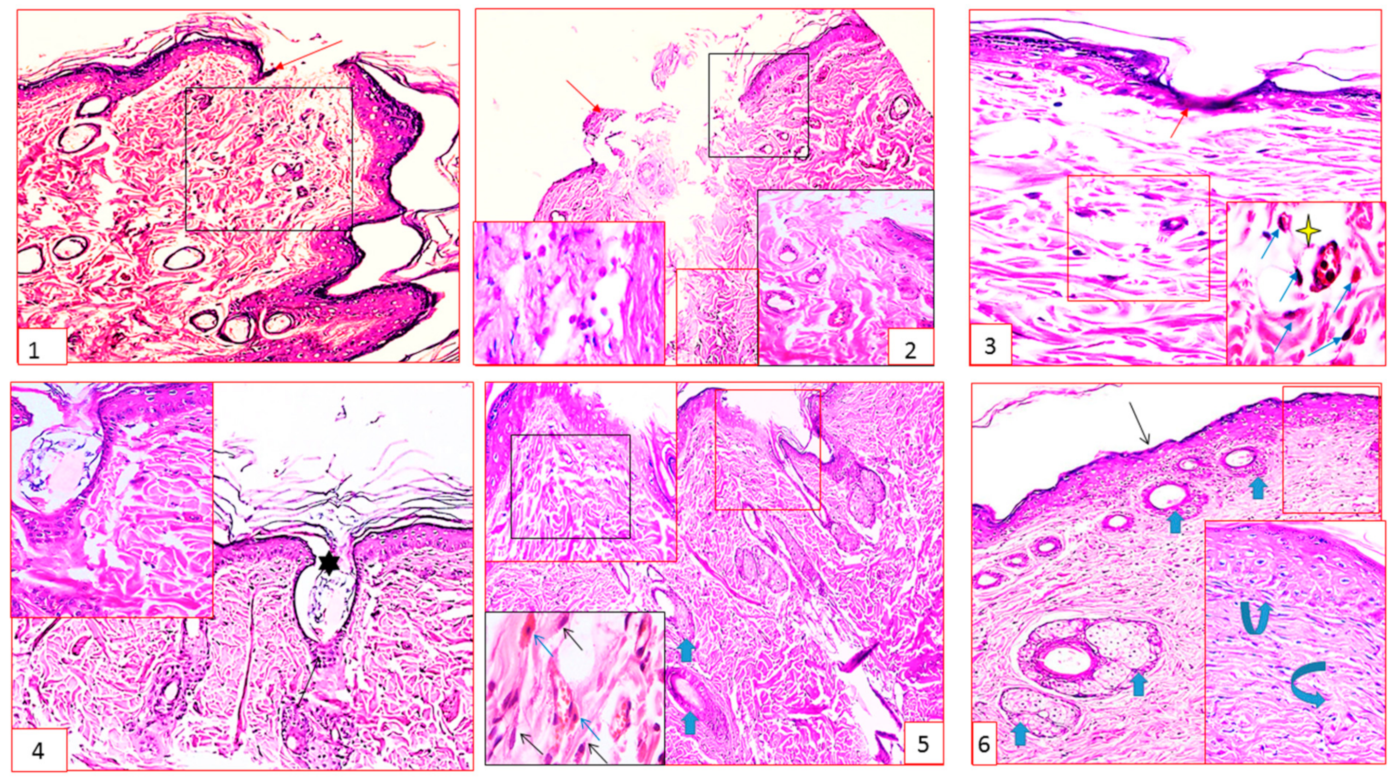 Marinedrugs 21 00336 g004