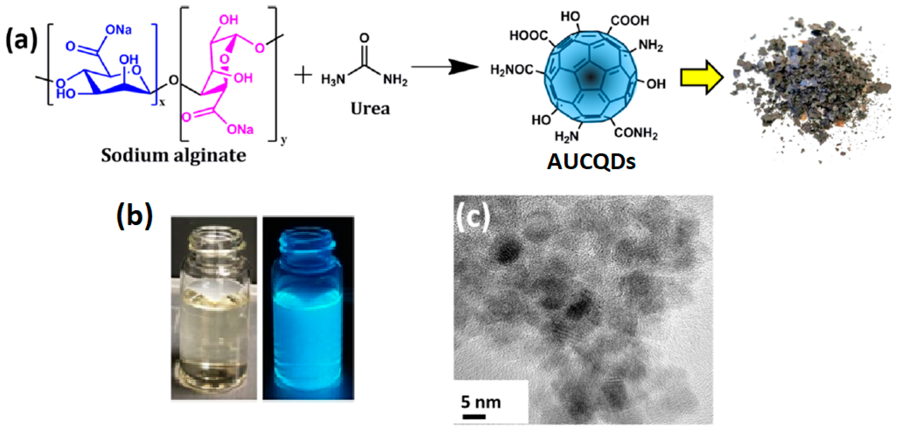 Marinedrugs 21 00338 g005 Marinedrugs 21 00338 g005