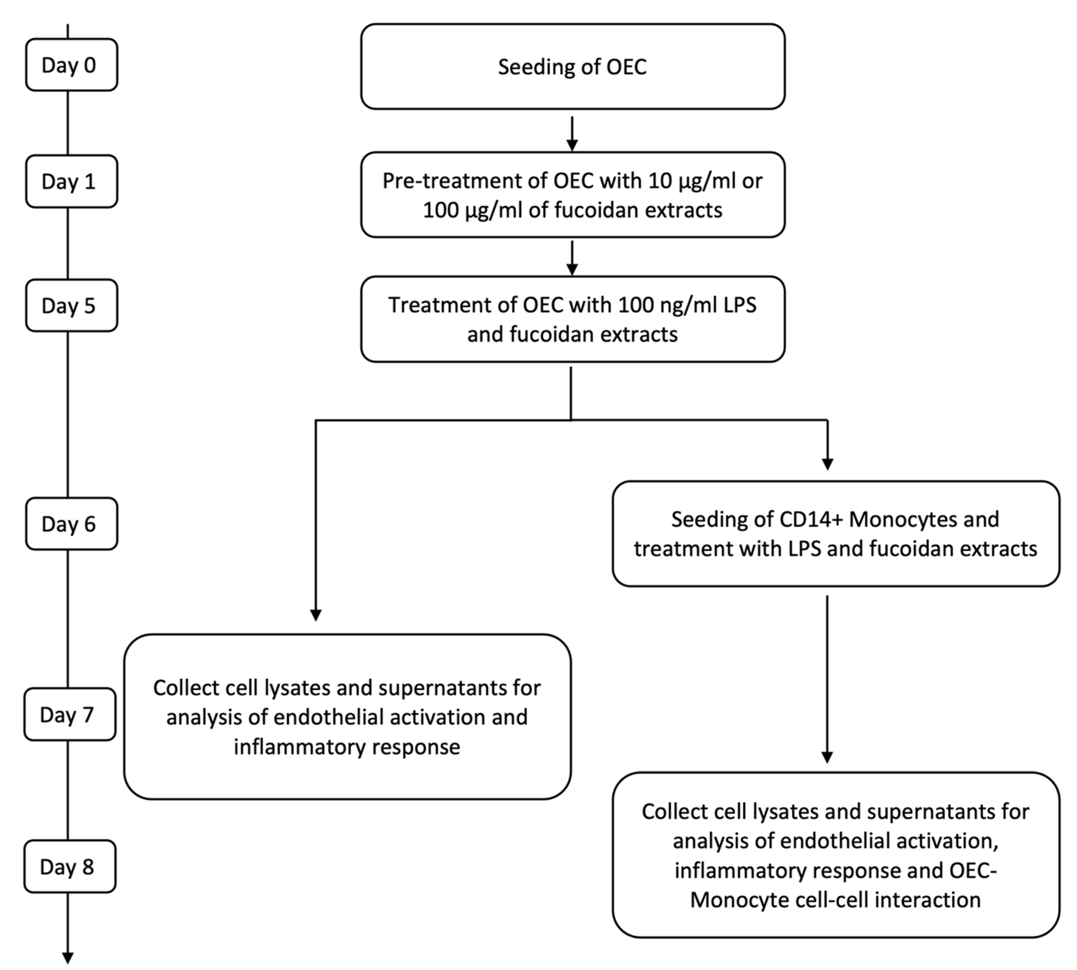 Marinedrugs 21 00339 g006 Marinedrugs 21 00339 g006