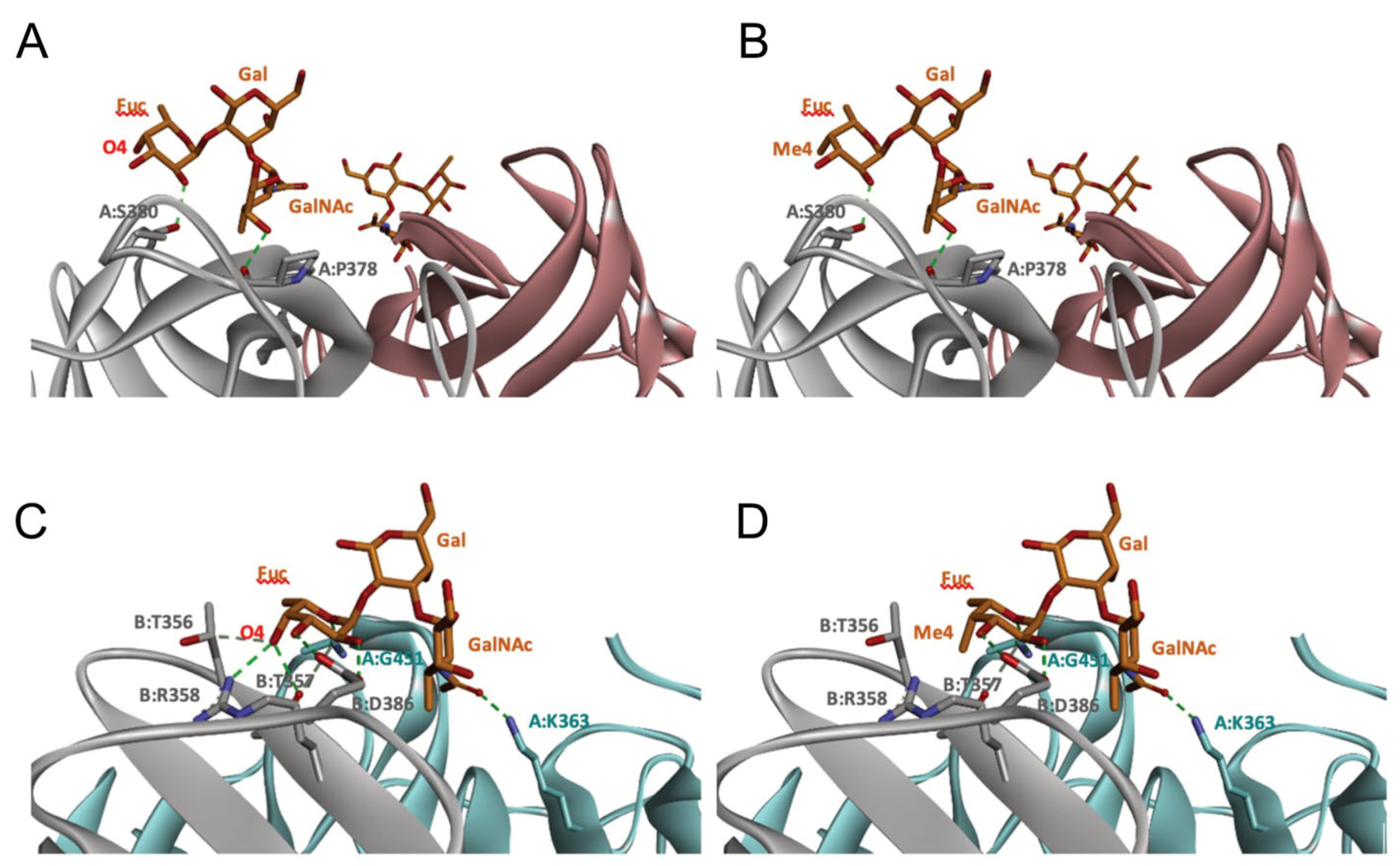 Marinedrugs 21 00342 g010 Marinedrugs 21 00342 g010