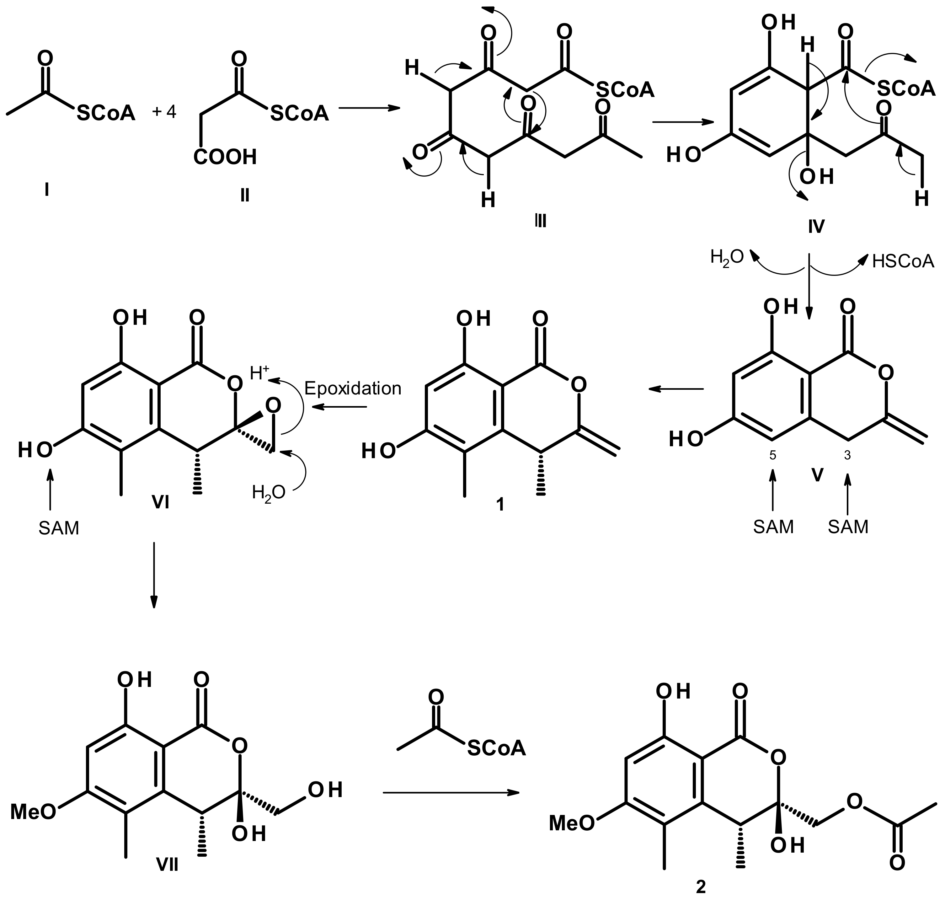 Marinedrugs 21 00344 g005