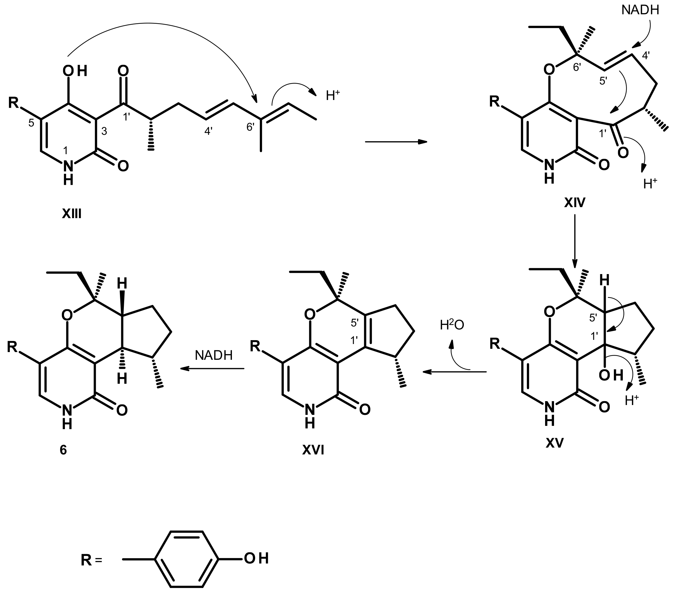 Marinedrugs 21 00344 g011
