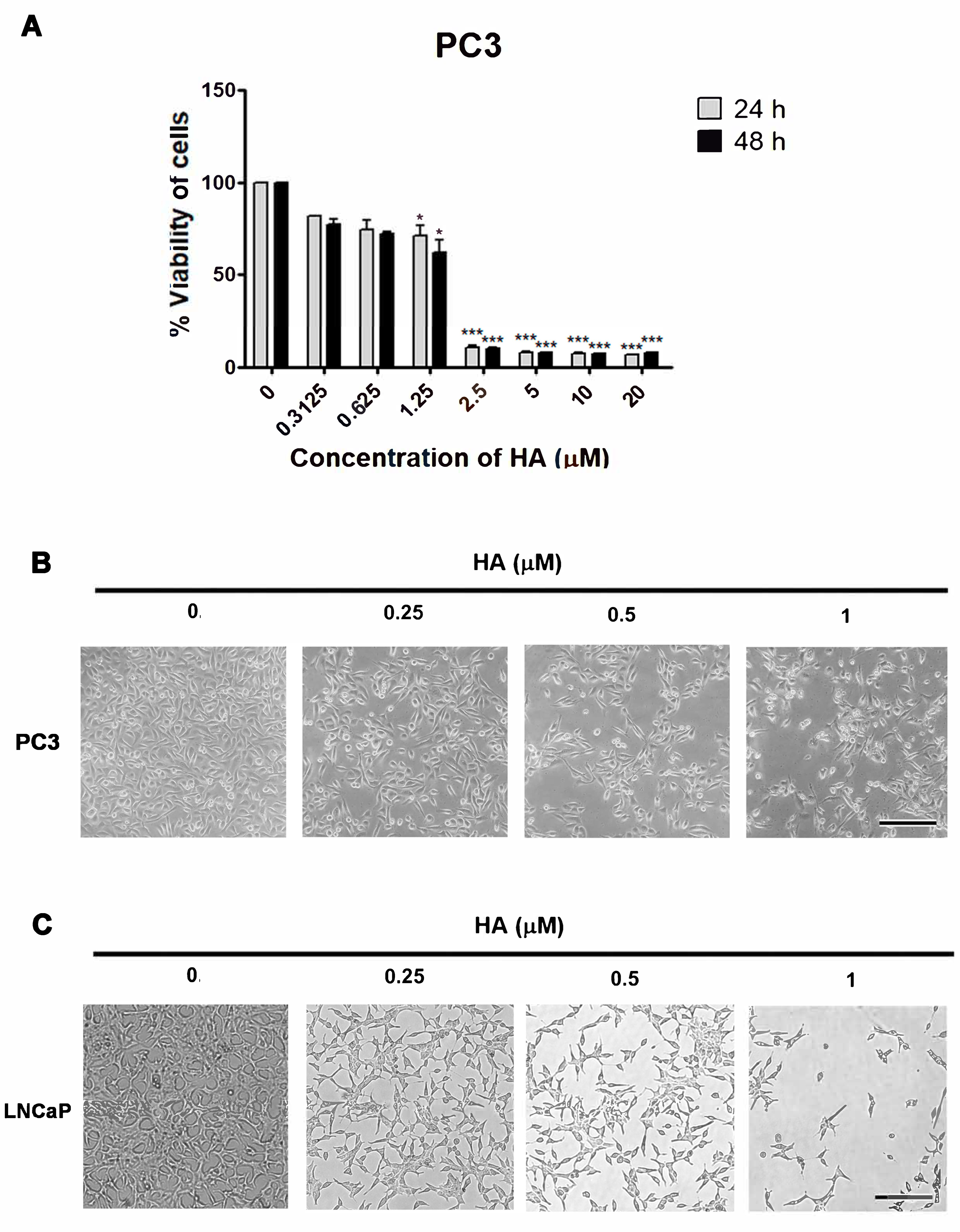 Marinedrugs 21 00345 g002 Marinedrugs 21 00345 g002