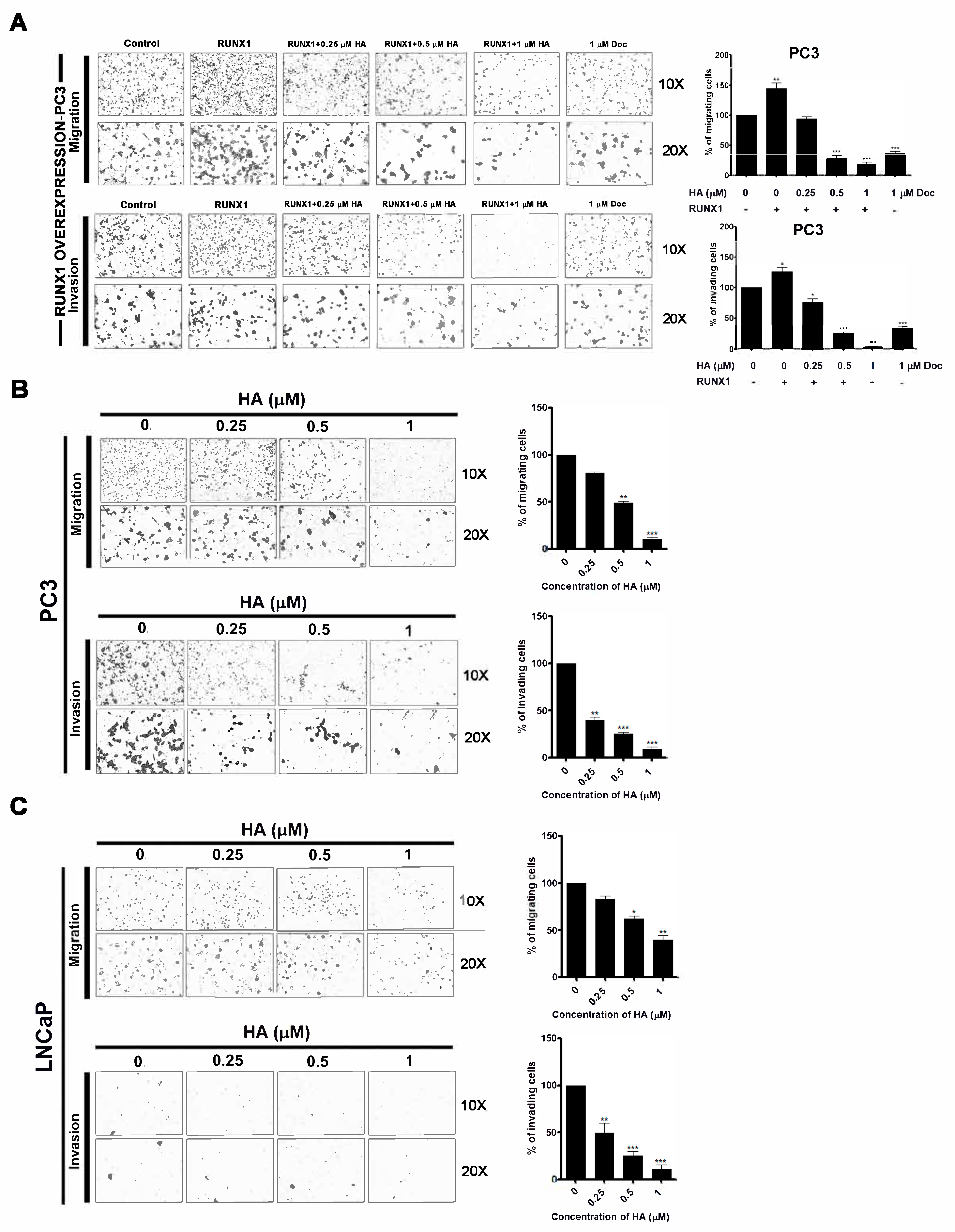 Marinedrugs 21 00345 g005 Marinedrugs 21 00345 g005