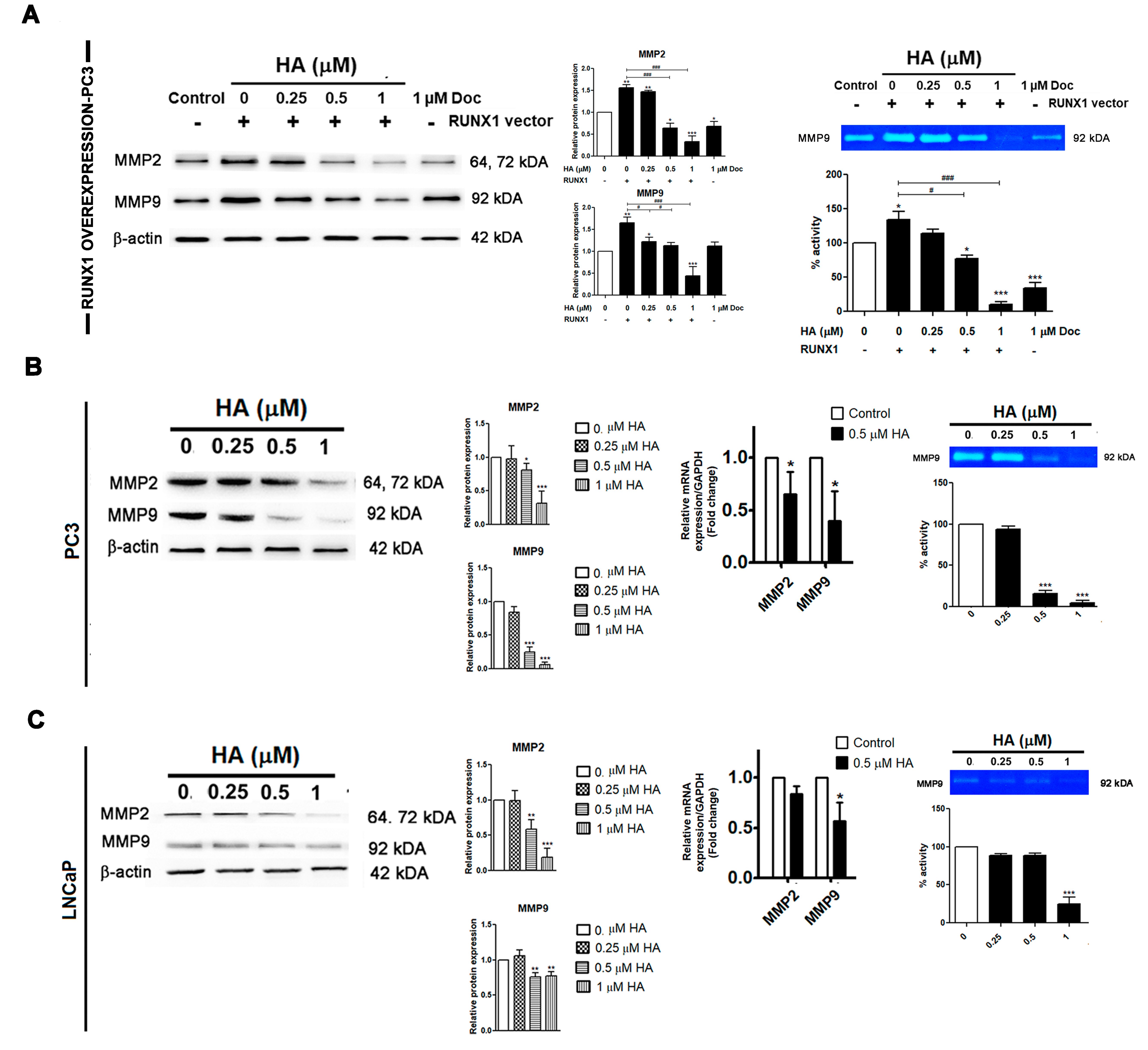 Marinedrugs 21 00345 g006 Marinedrugs 21 00345 g006