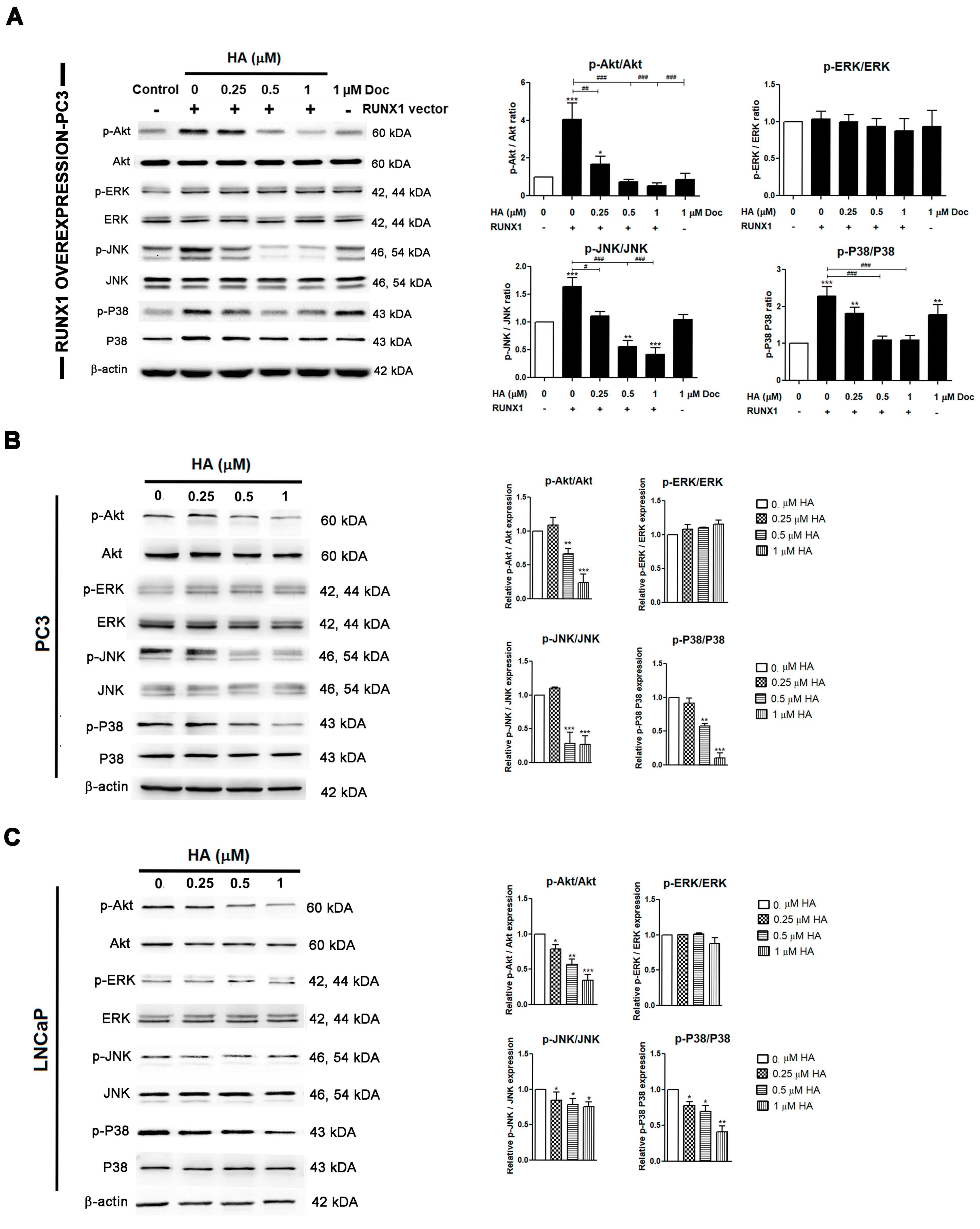 Marinedrugs 21 00345 g007 Marinedrugs 21 00345 g007