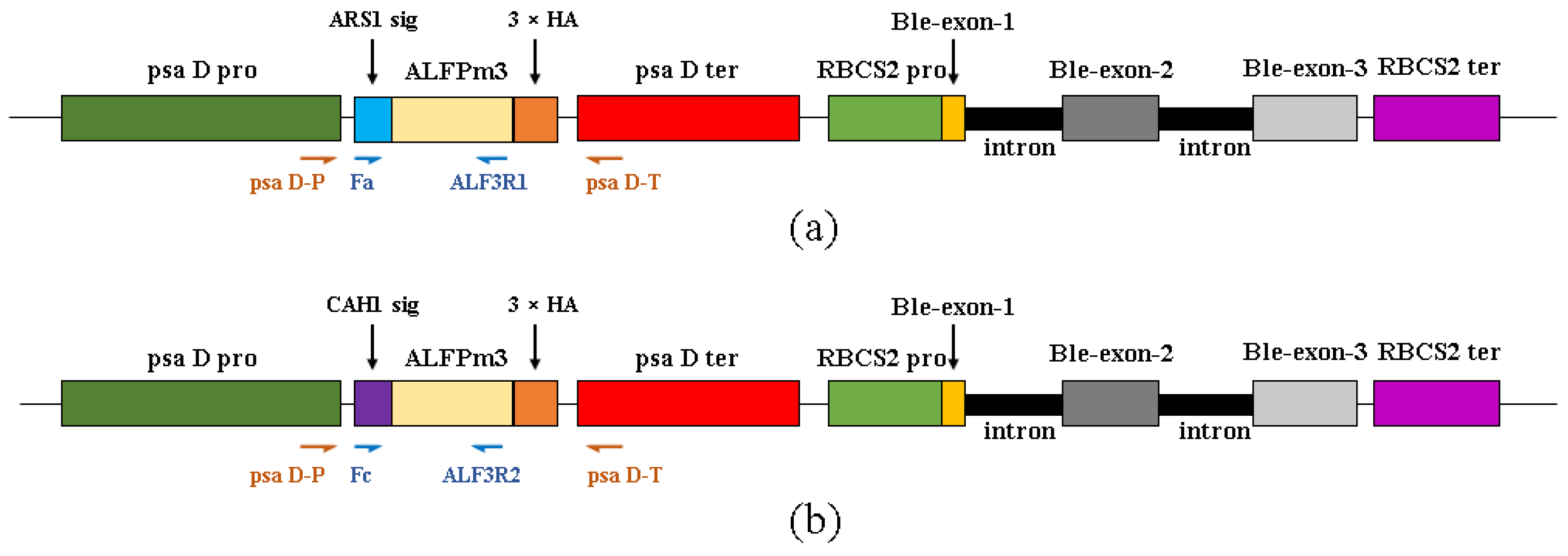 Marinedrugs 21 00346 g001 Marinedrugs 21 00346 g001