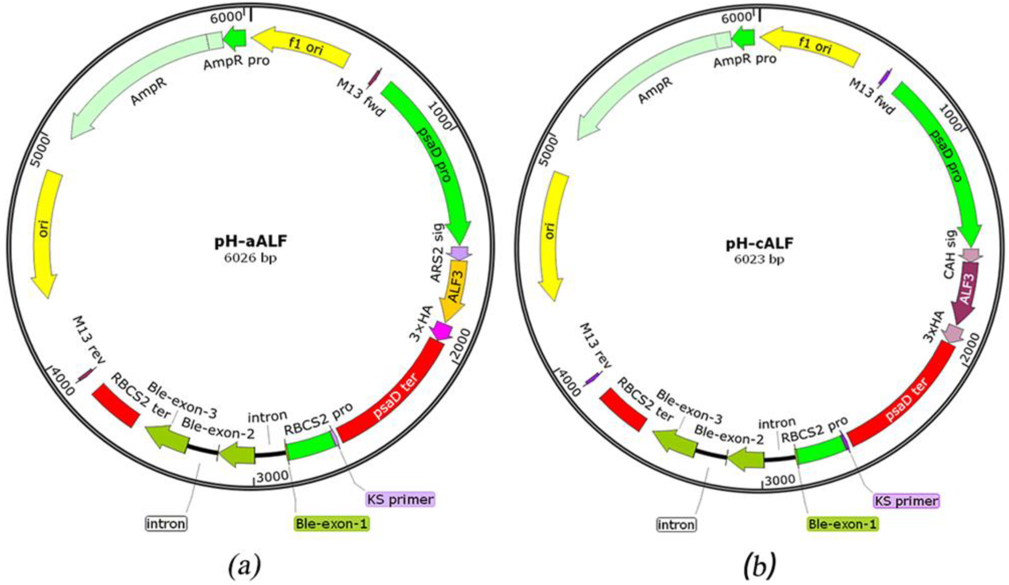 Marinedrugs 21 00346 g005 Marinedrugs 21 00346 g005