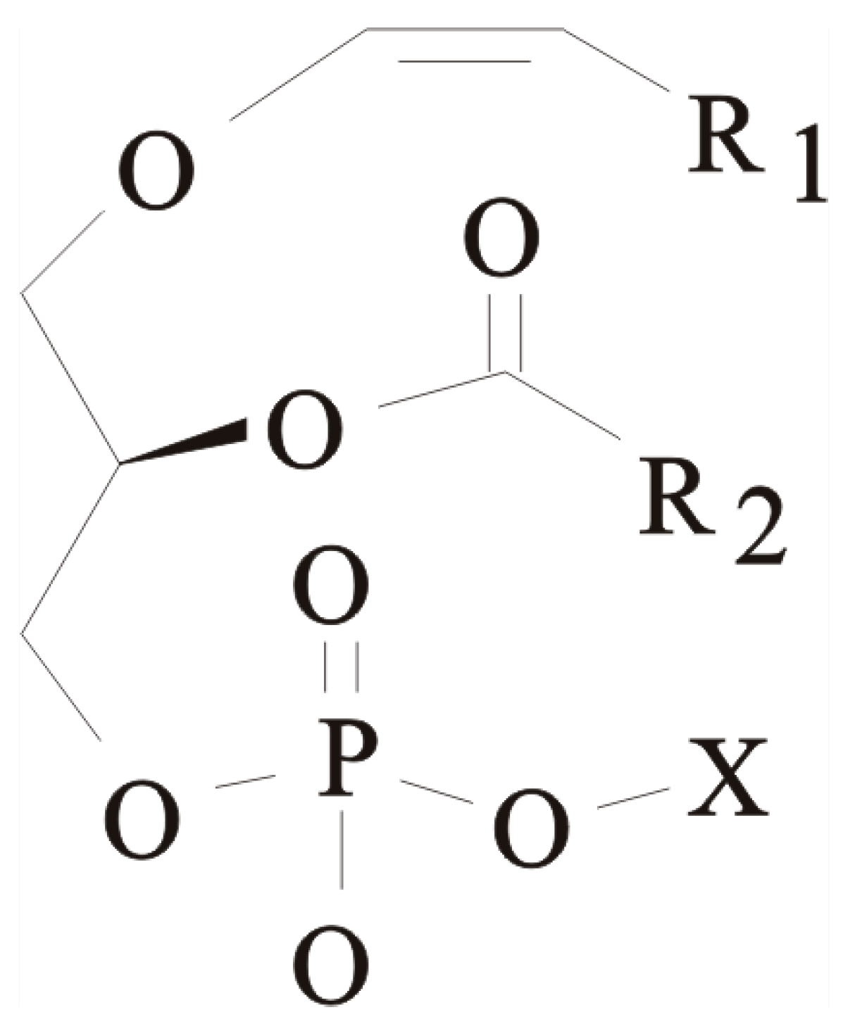 Marinedrugs 21 00351 g001 Marinedrugs 21 00351 g001