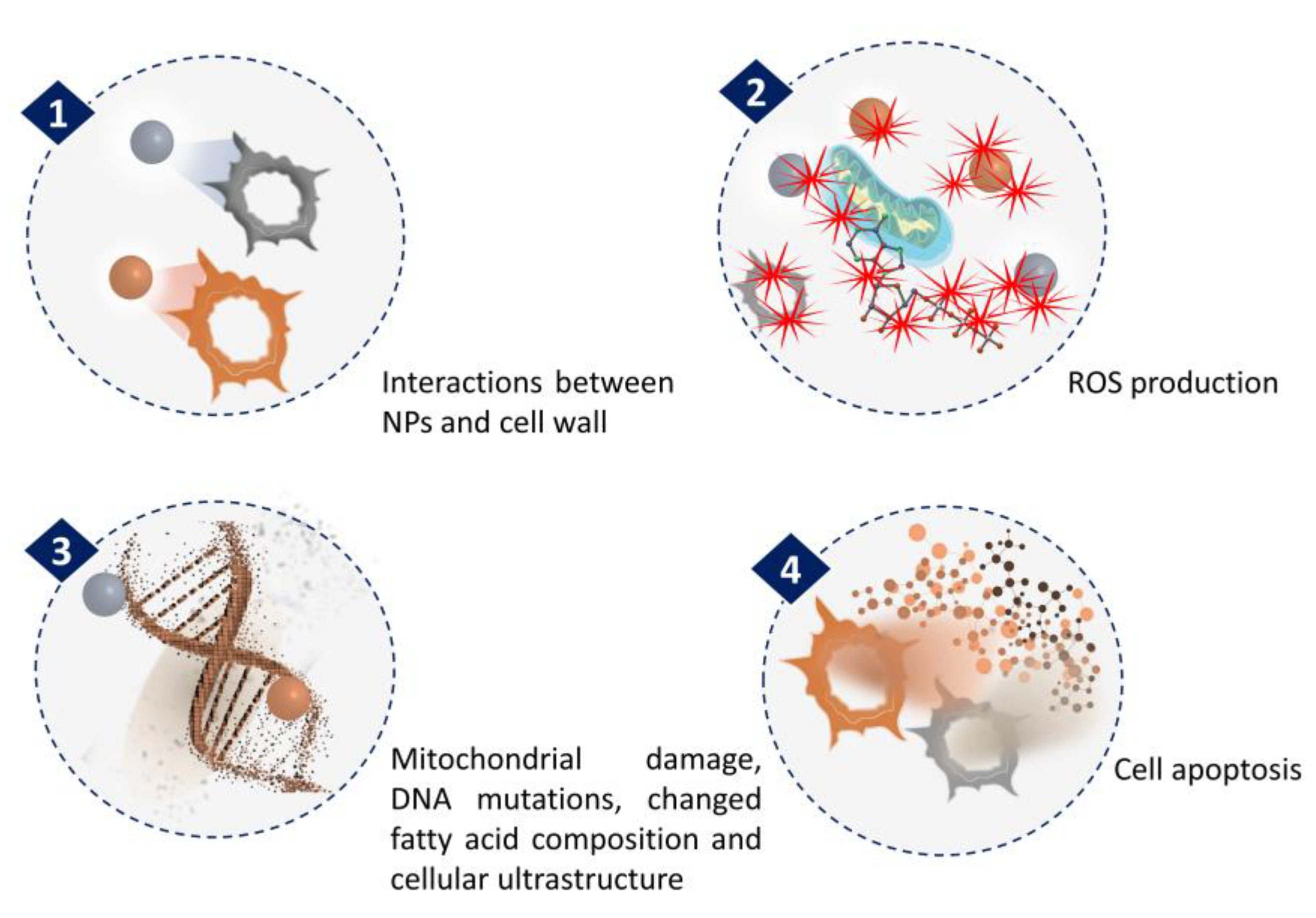 Marinedrugs 21 00352 g003 Marinedrugs 21 00352 g003