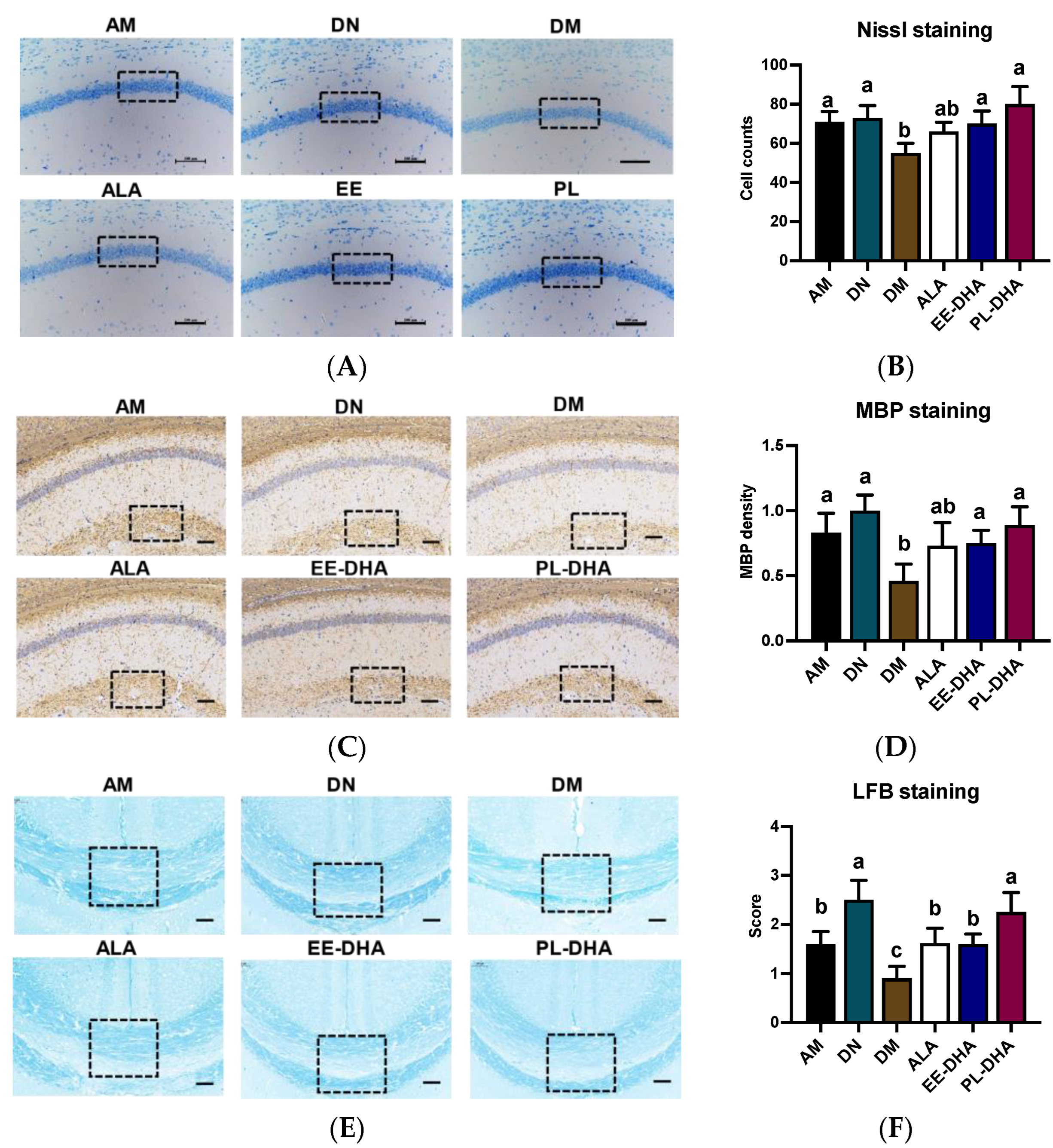 Marinedrugs 21 00354 g003 Marinedrugs 21 00354 g003