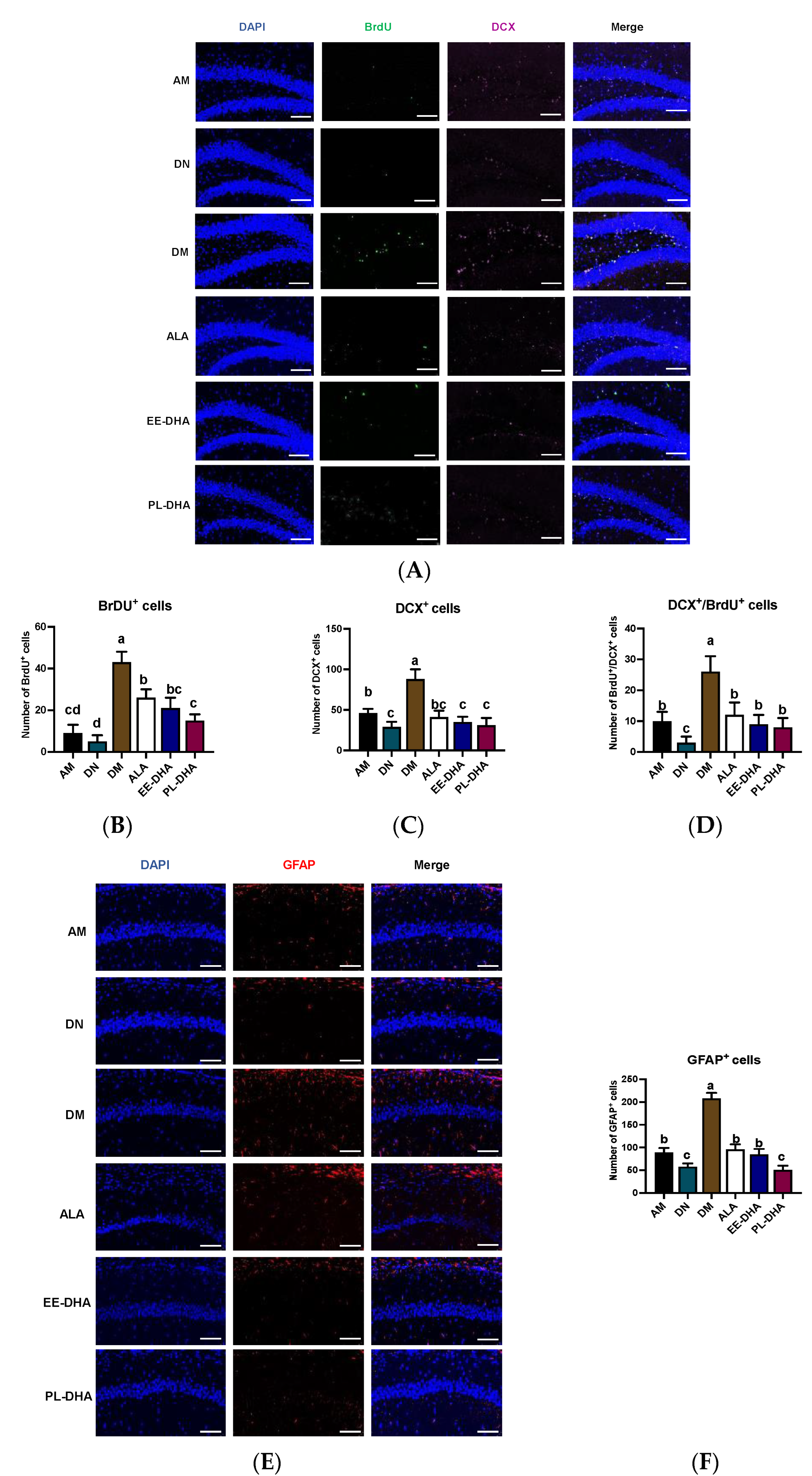 Marinedrugs 21 00354 g004 Marinedrugs 21 00354 g004