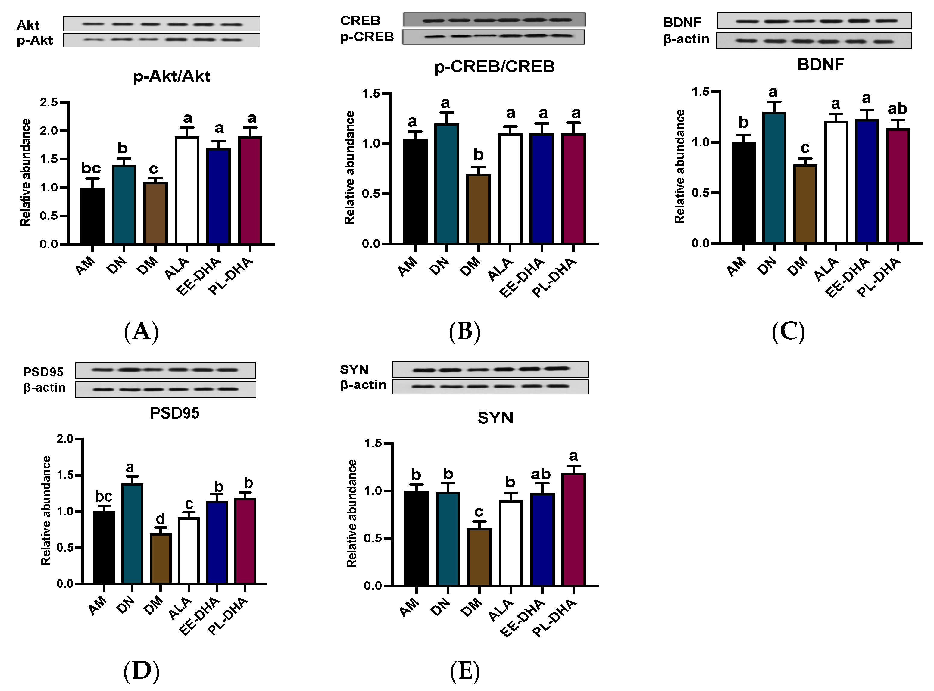 Marinedrugs 21 00354 g005 Marinedrugs 21 00354 g005