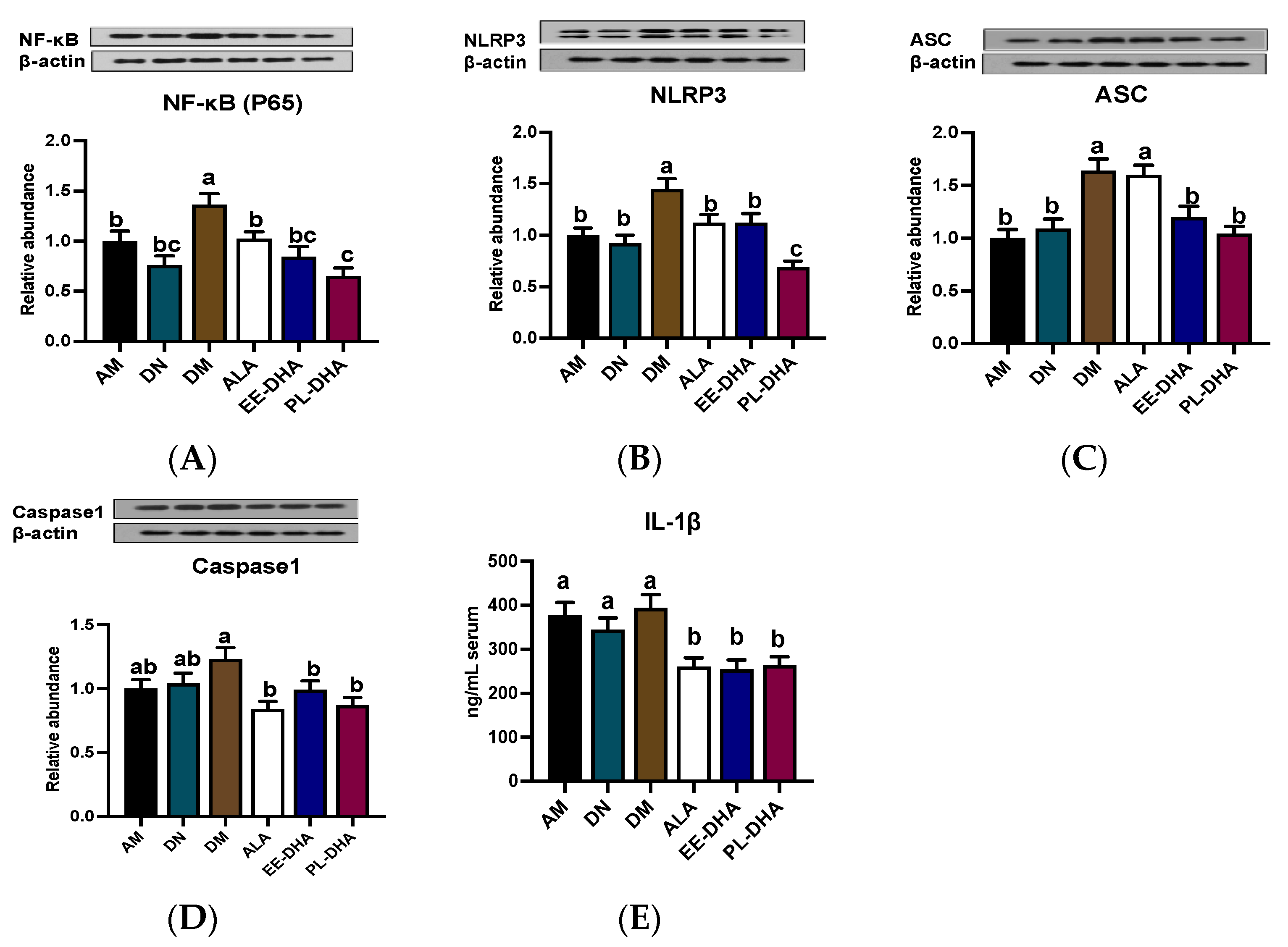 Marinedrugs 21 00354 g007 Marinedrugs 21 00354 g007