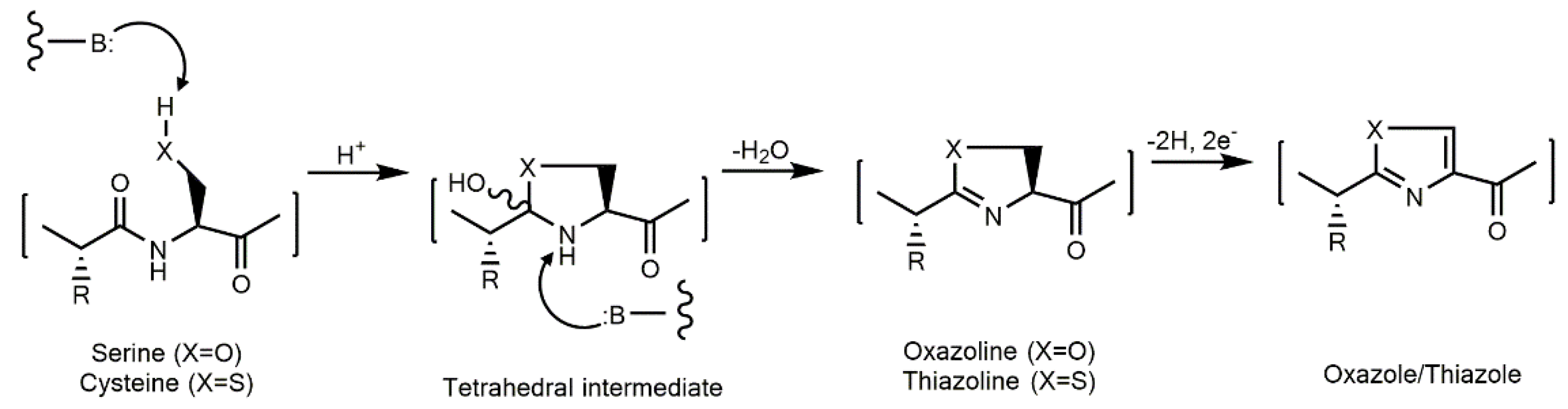 Marinedrugs 21 00359 g007 Marinedrugs 21 00359 g007