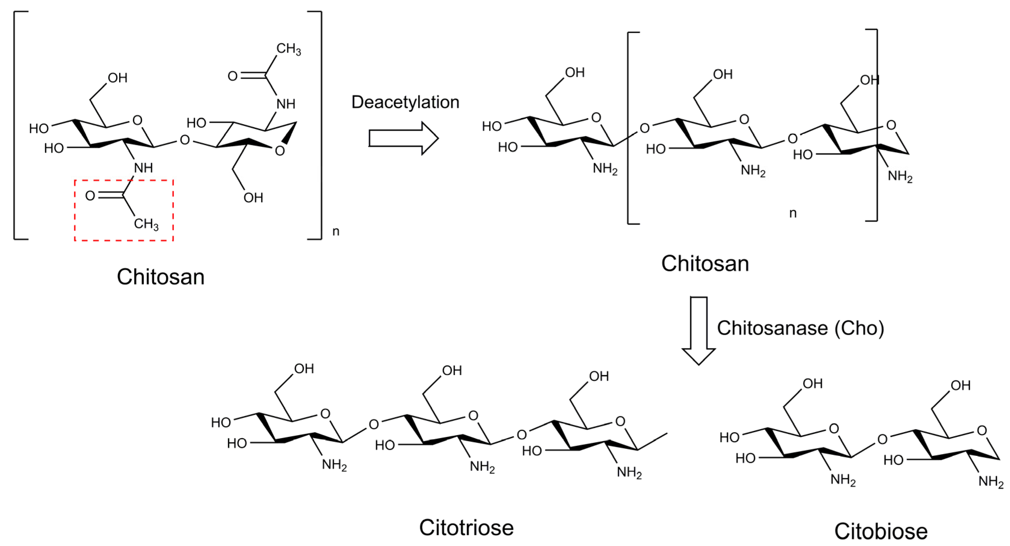 Marinedrugs 21 00359 g013 Marinedrugs 21 00359 g013