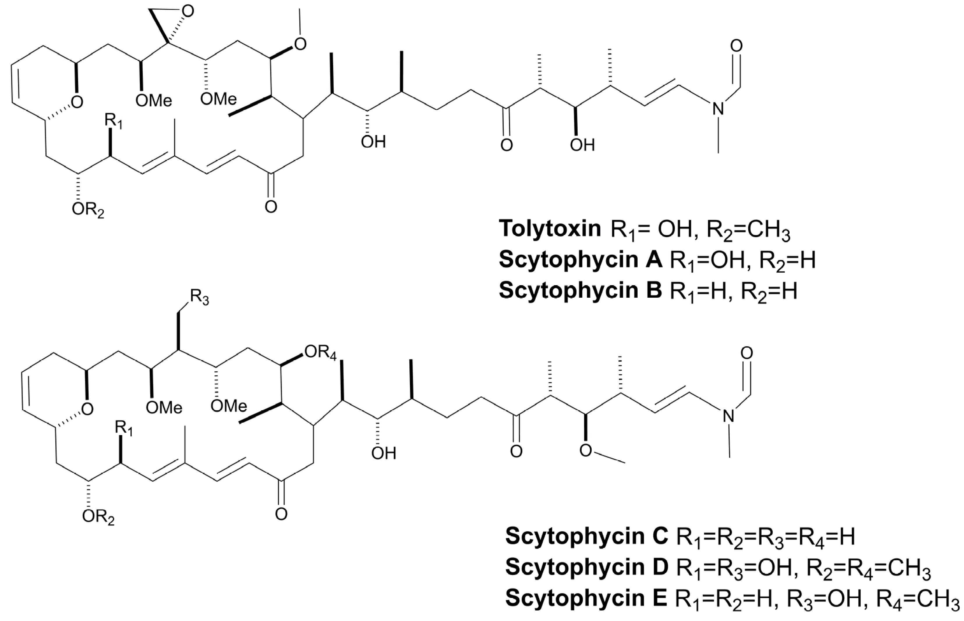 Marinedrugs 21 00359 g020 Marinedrugs 21 00359 g020