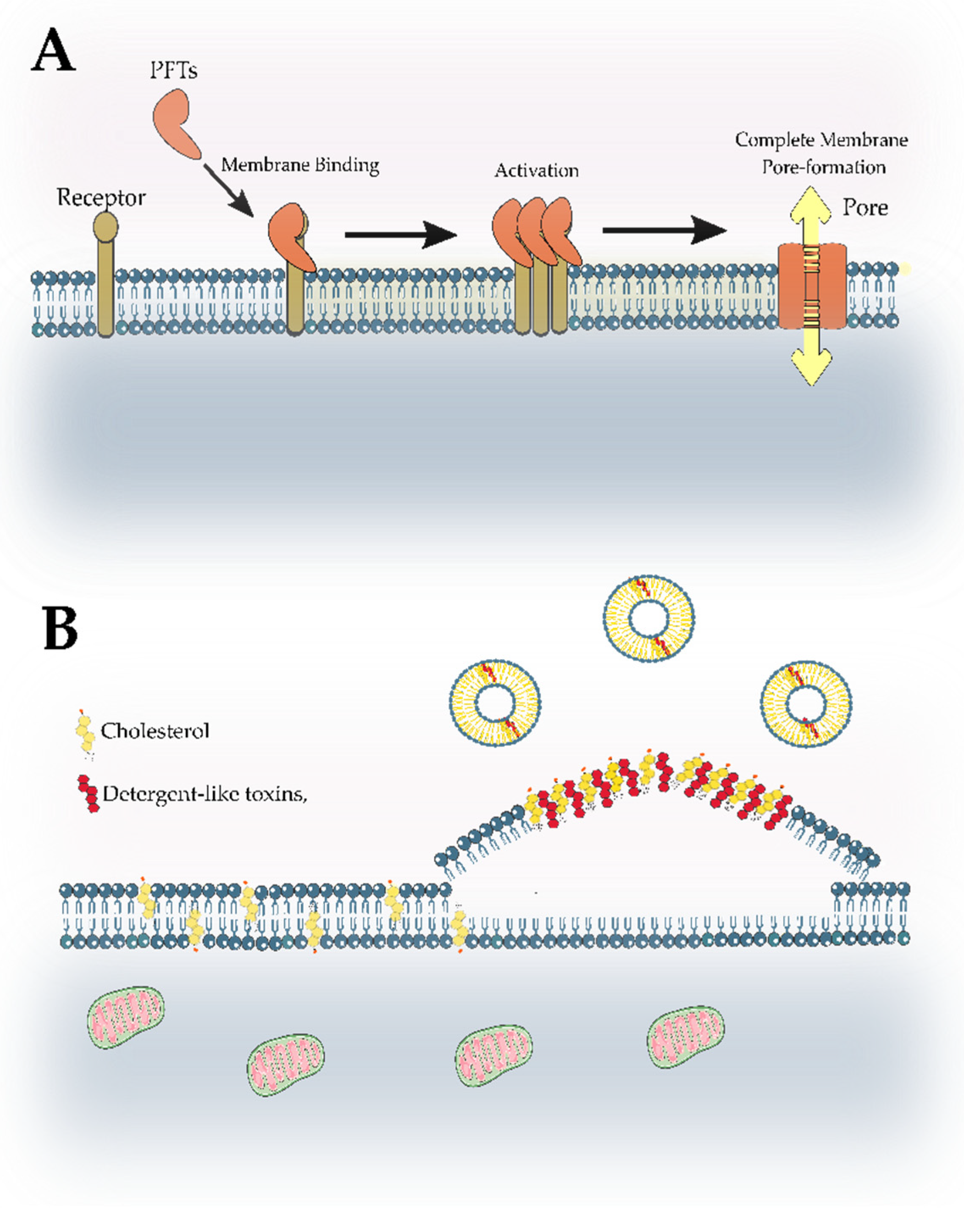 Marinedrugs 21 00359 g026 Marinedrugs 21 00359 g026