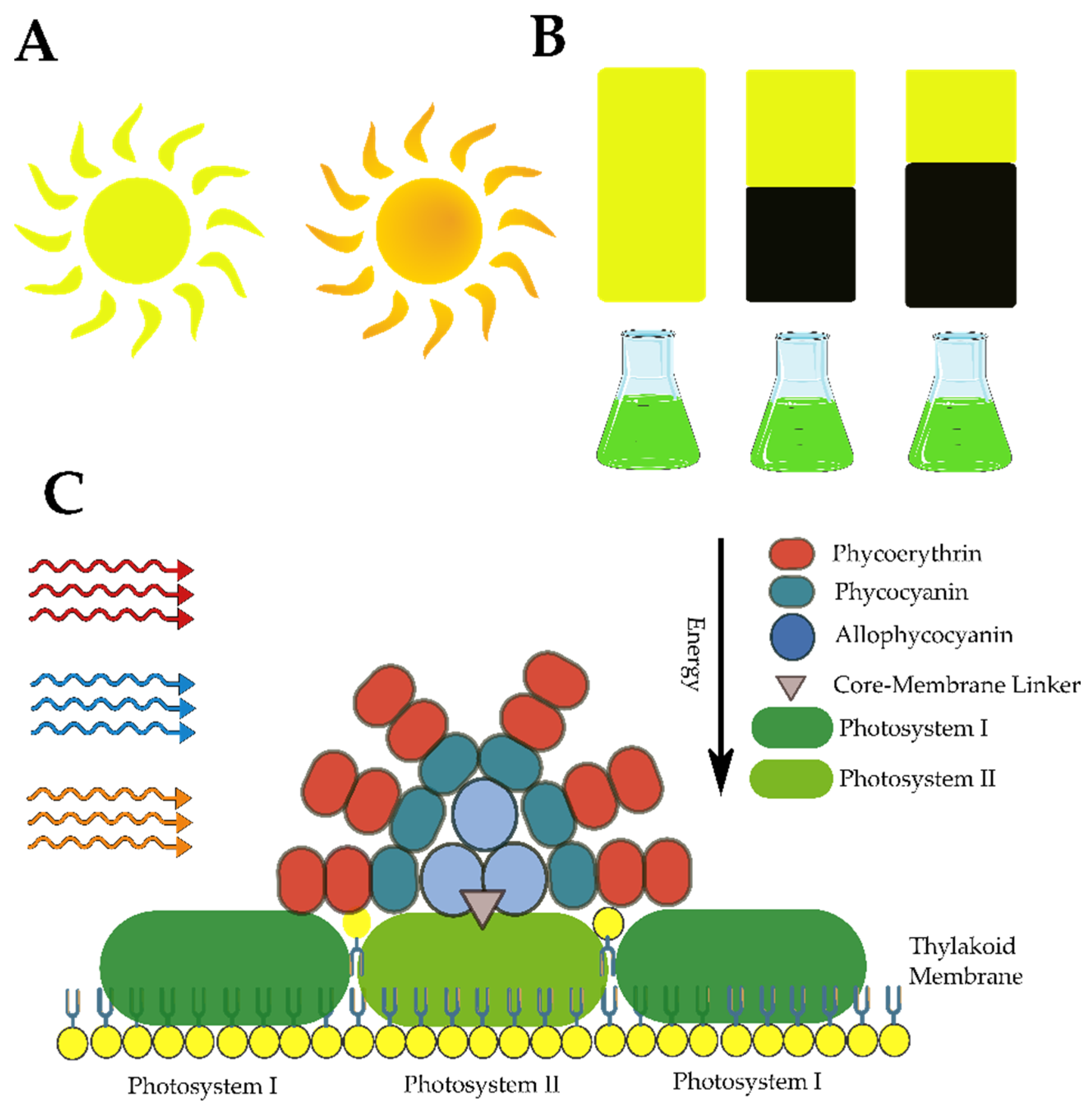 Marinedrugs 21 00359 g028 Marinedrugs 21 00359 g028