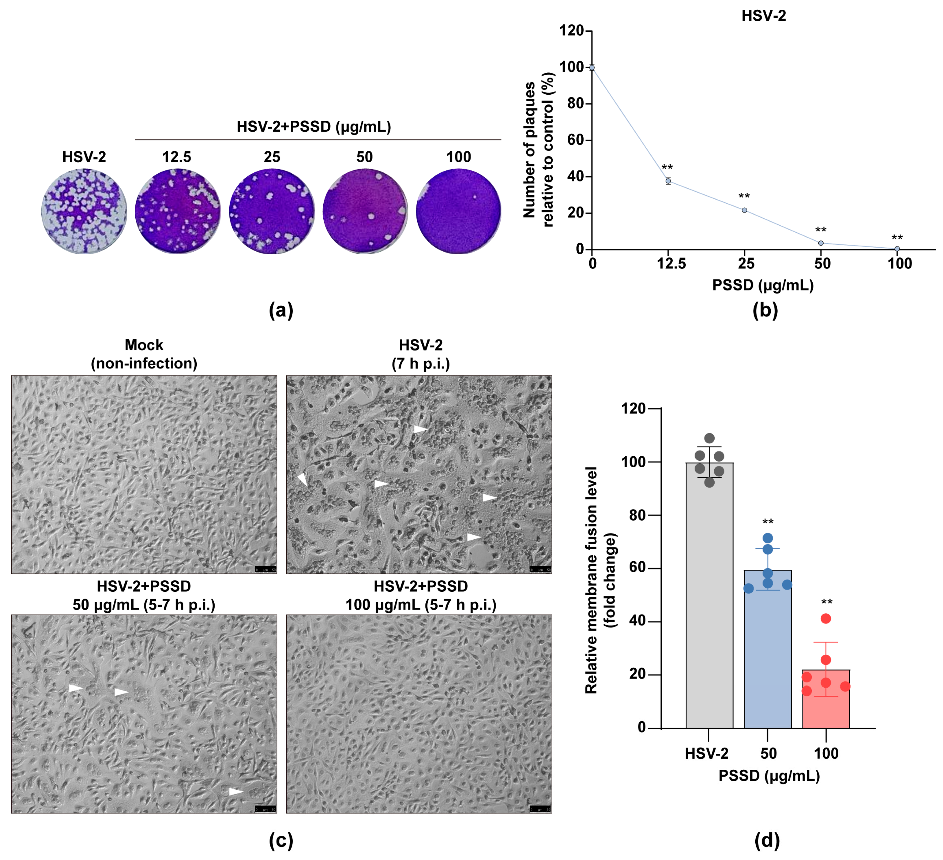 Marinedrugs 21 00364 g004