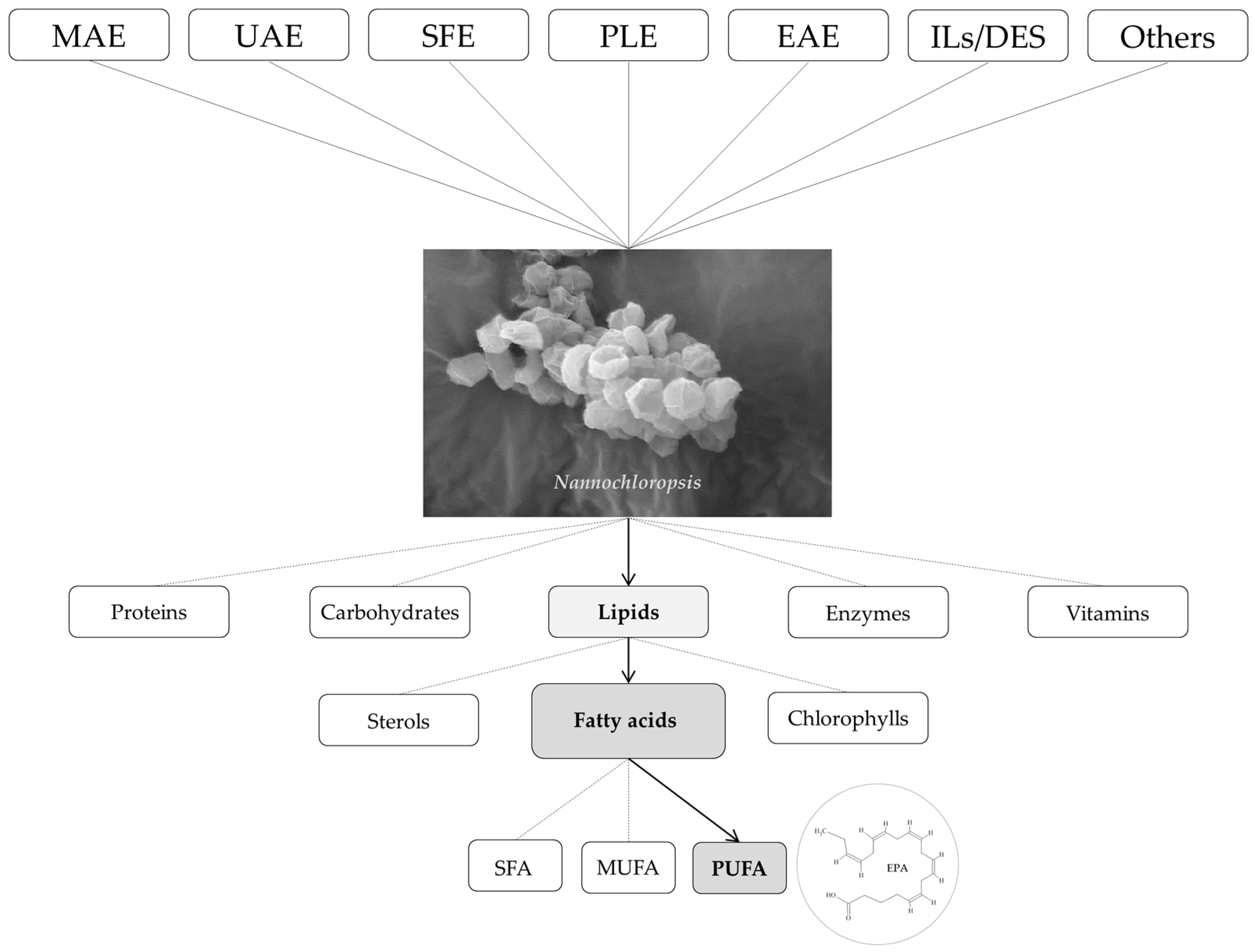 Marinedrugs 21 00365 g001