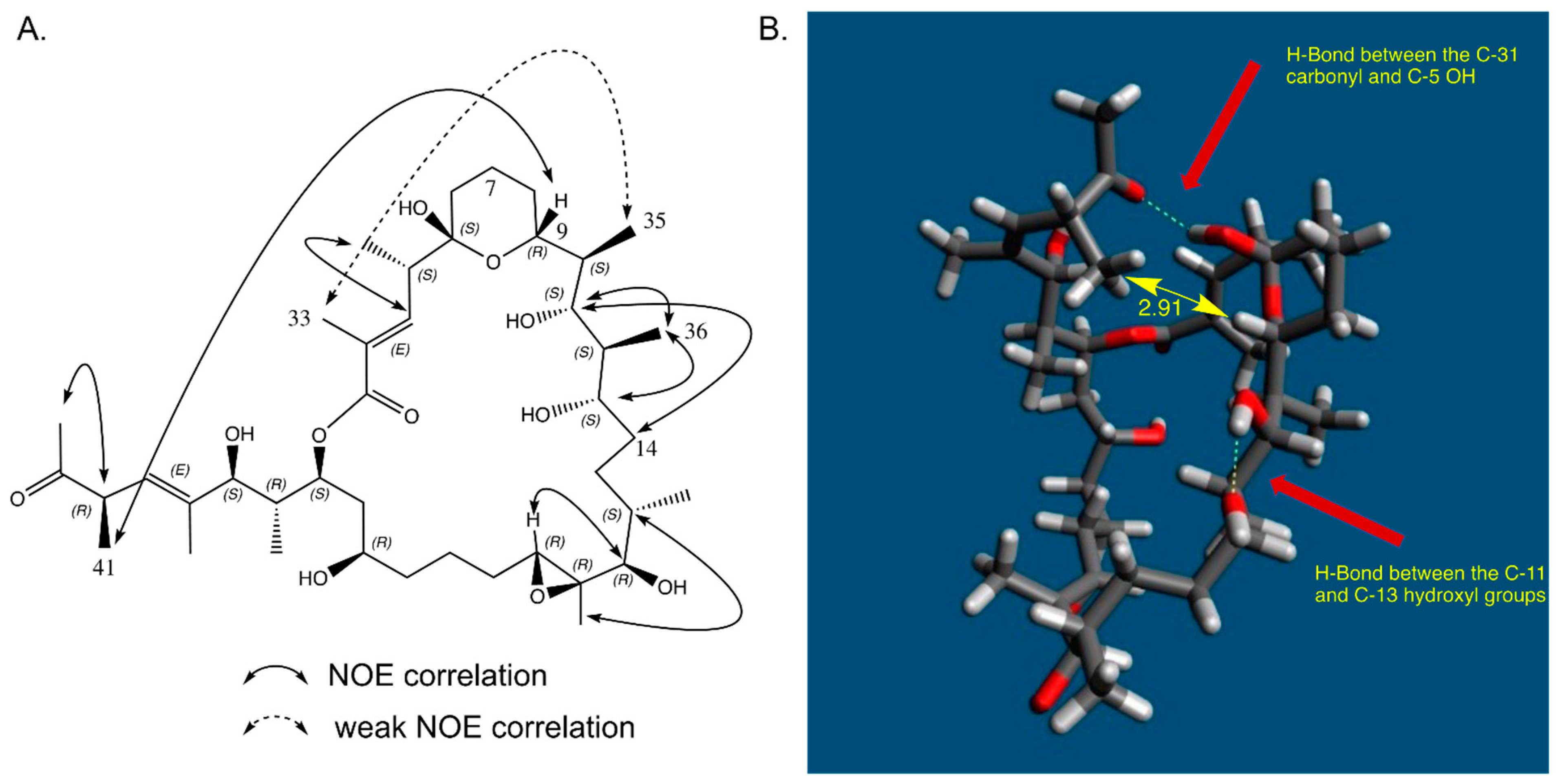 Marinedrugs 21 00367 g007 Marinedrugs 21 00367 g007