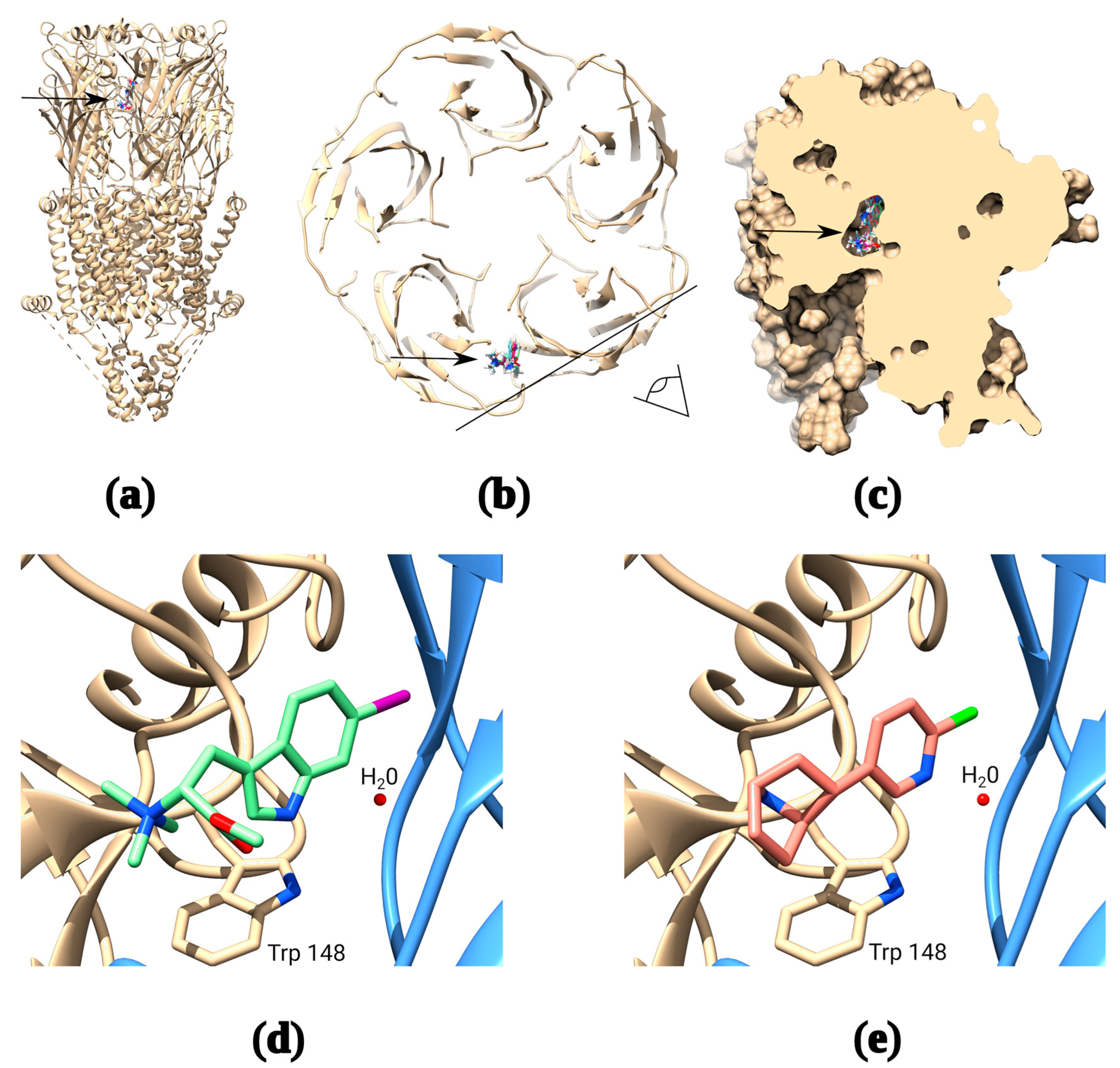 Marinedrugs 21 00368 g001 Marinedrugs 21 00368 g001