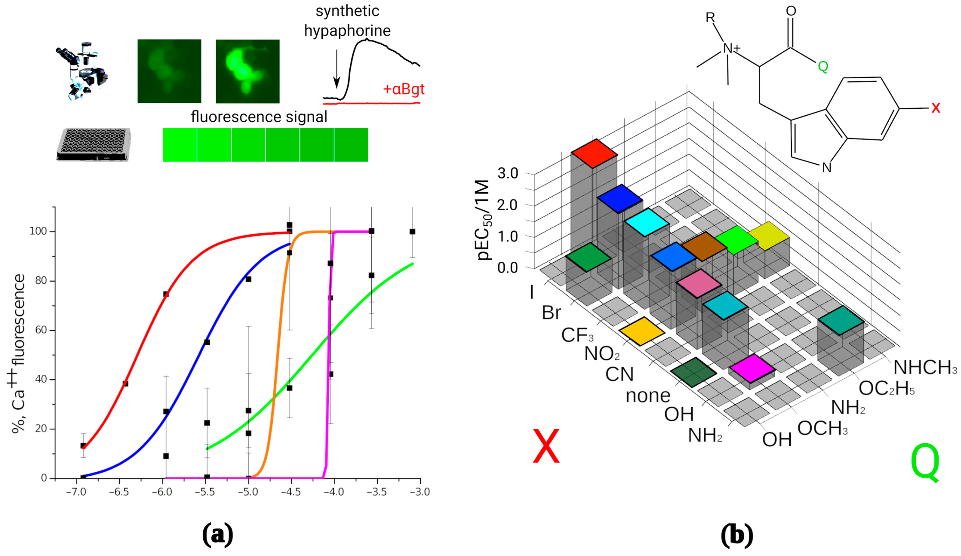 Marinedrugs 21 00368 g002 Marinedrugs 21 00368 g002