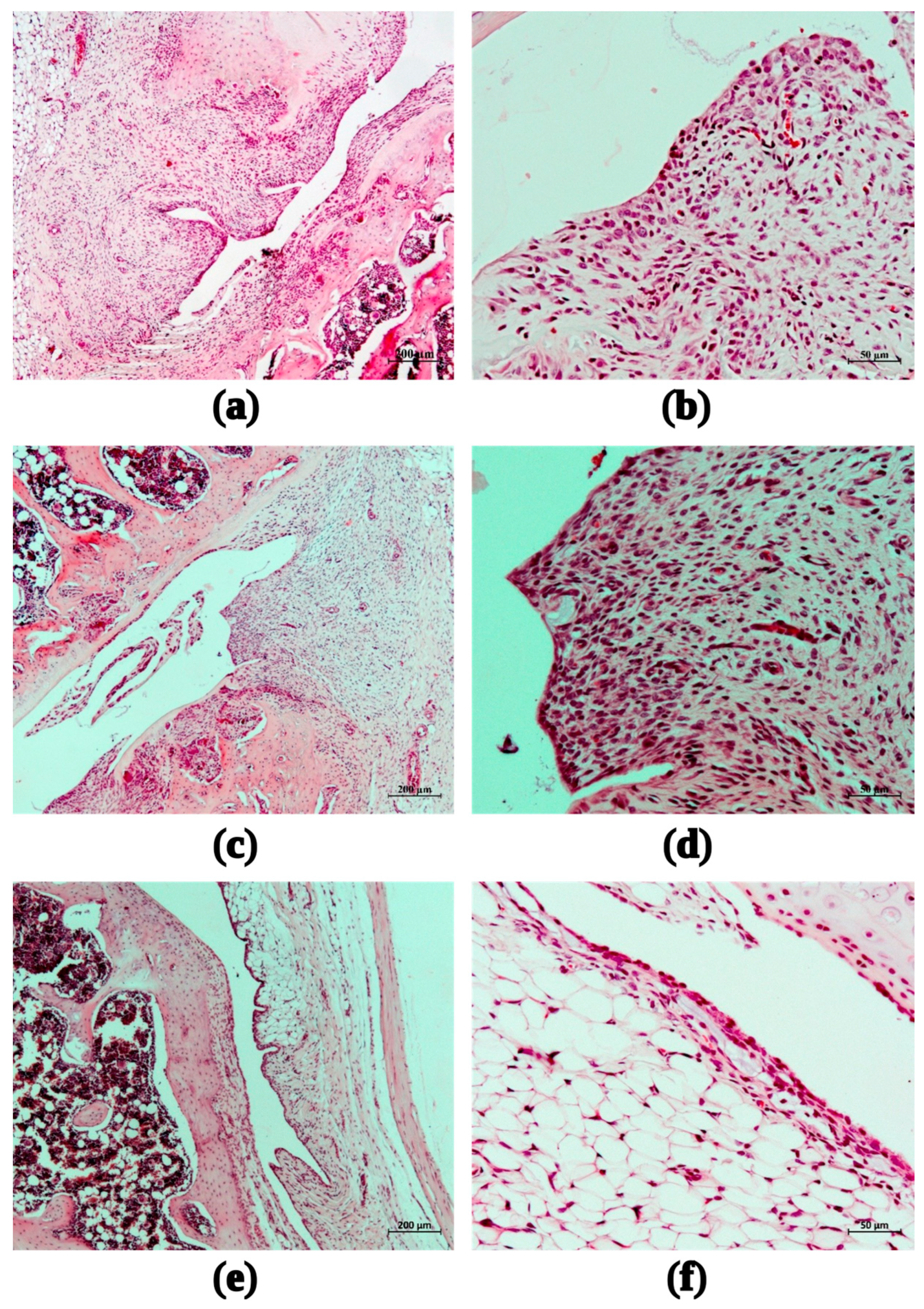 Marinedrugs 21 00368 g009 Marinedrugs 21 00368 g009