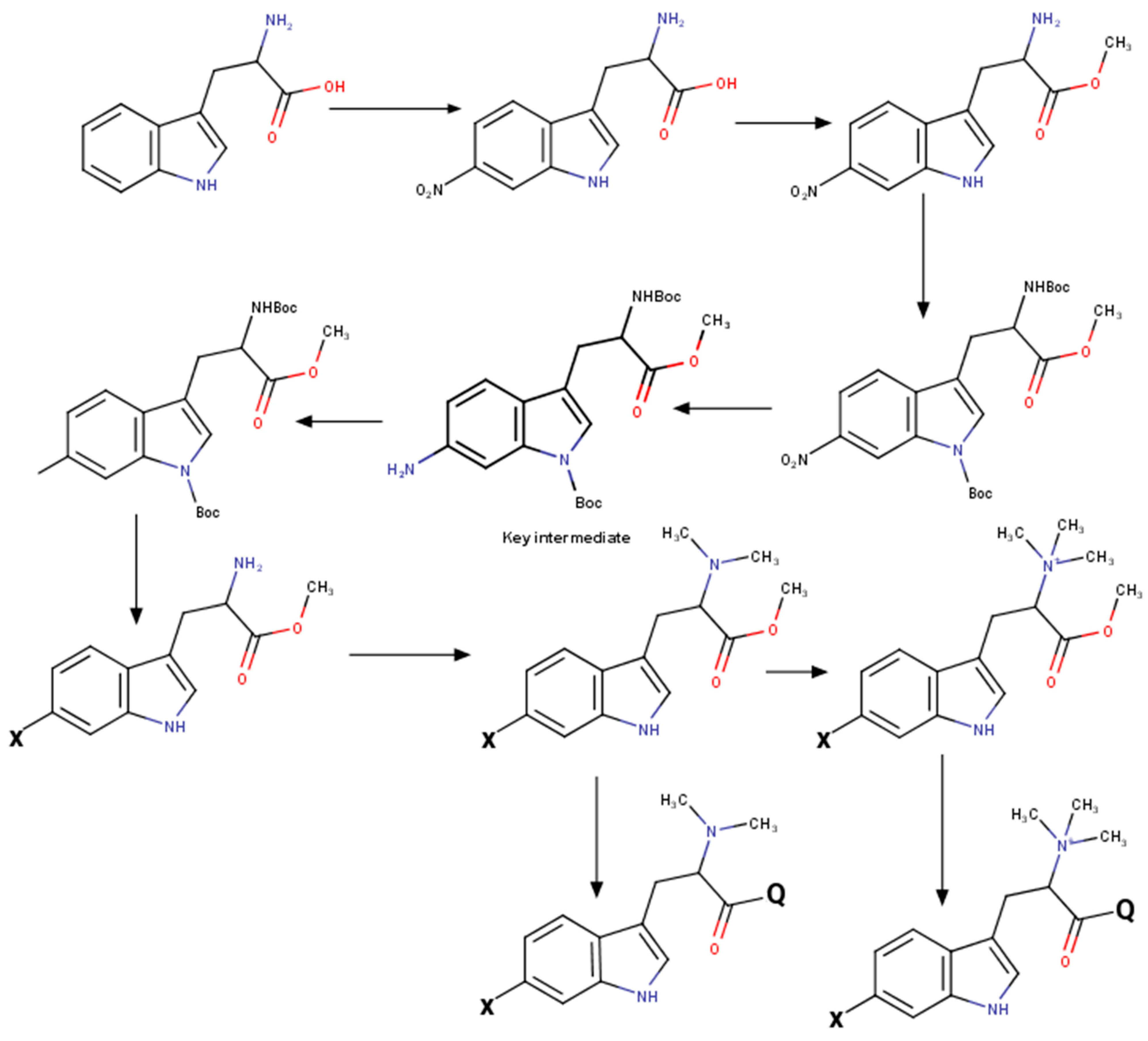 Marinedrugs 21 00368 sch002 Marinedrugs 21 00368 sch002