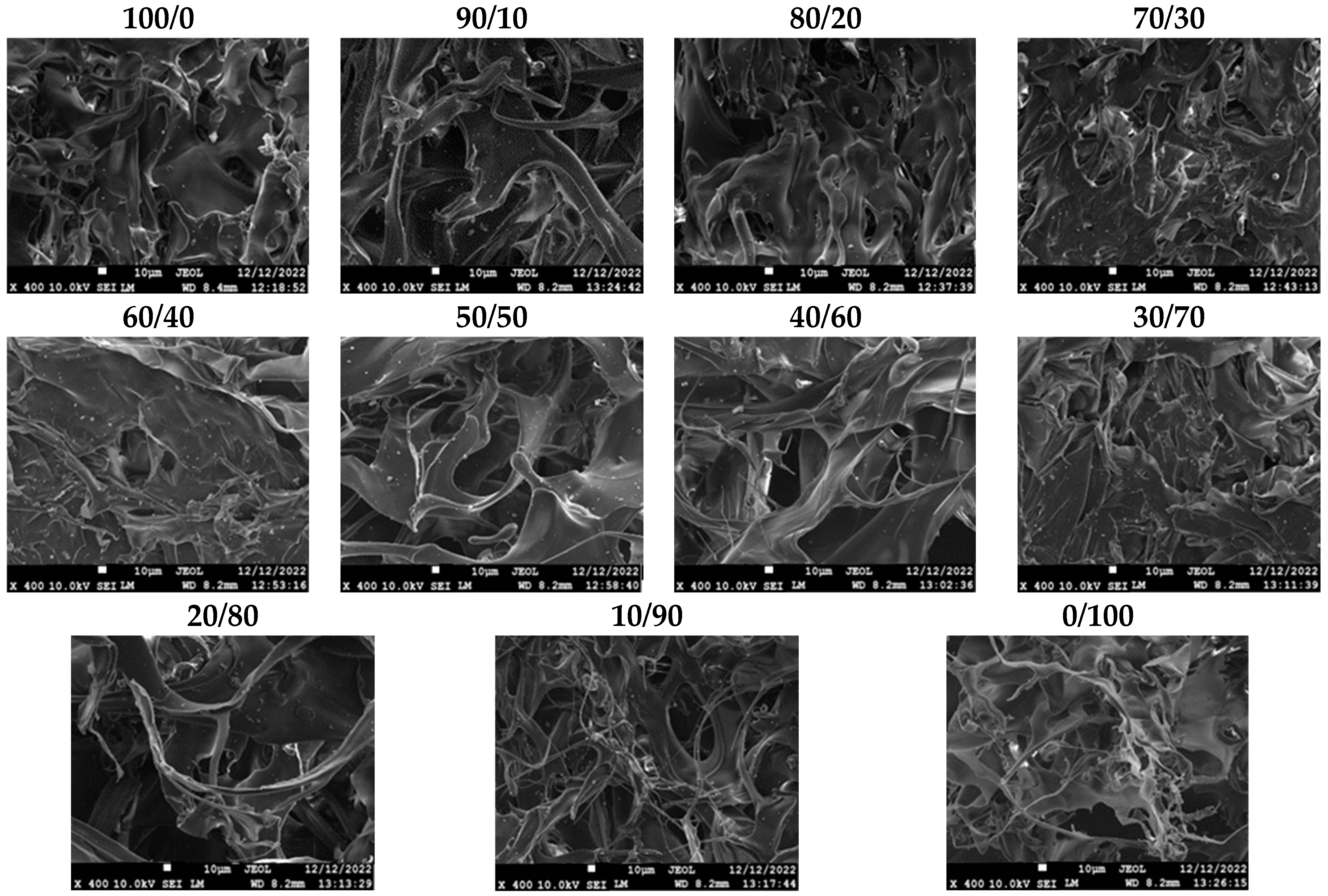 Marinedrugs 21 00370 g007 Marinedrugs 21 00370 g007