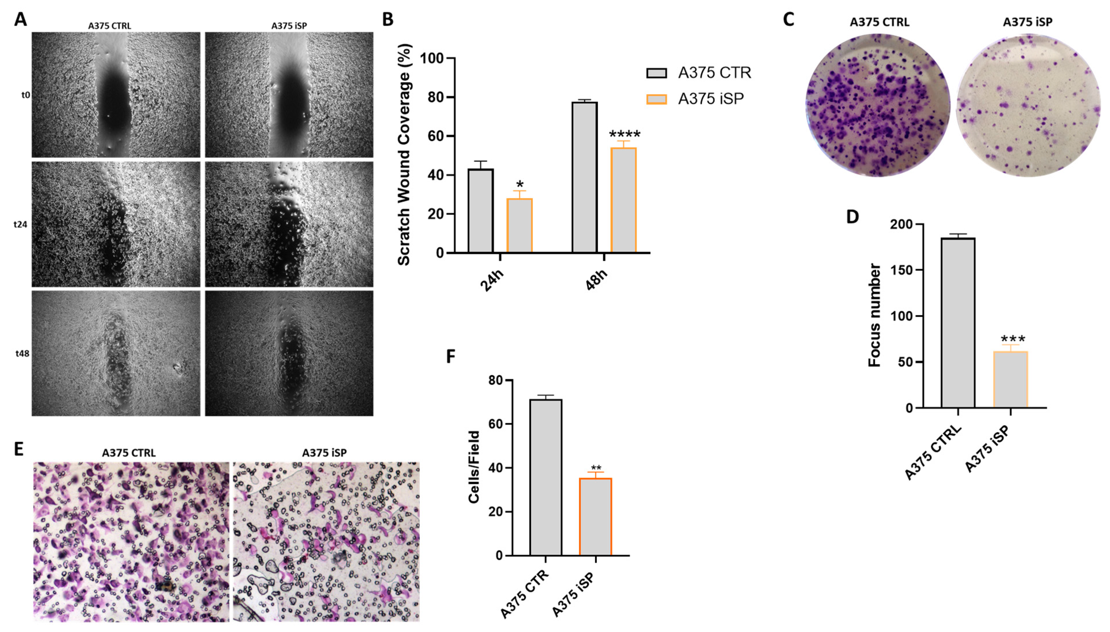 Marinedrugs 21 00371 g005 Marinedrugs 21 00371 g005