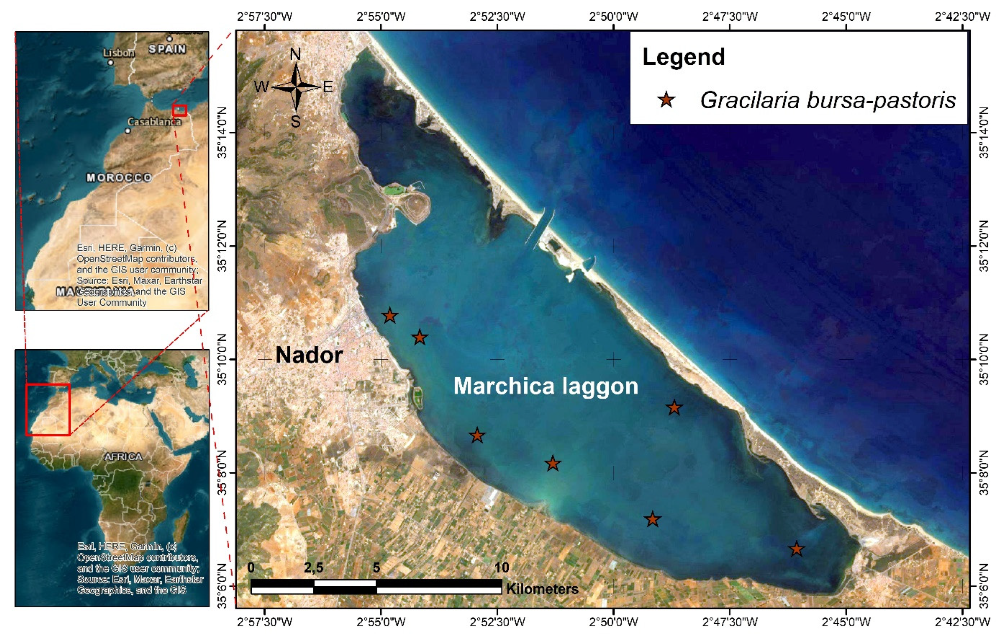 Marinedrugs 21 00372 g006 Marinedrugs 21 00372 g006