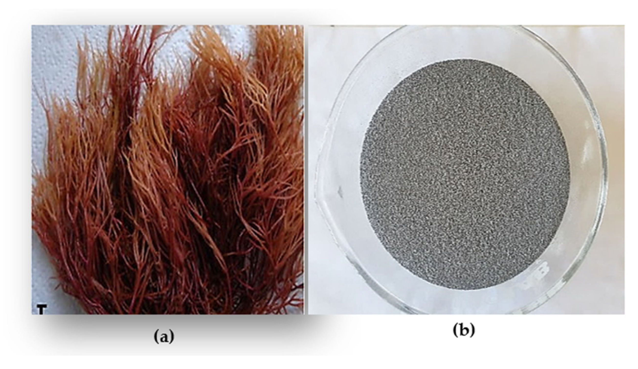 Marinedrugs 21 00372 g007 Marinedrugs 21 00372 g007