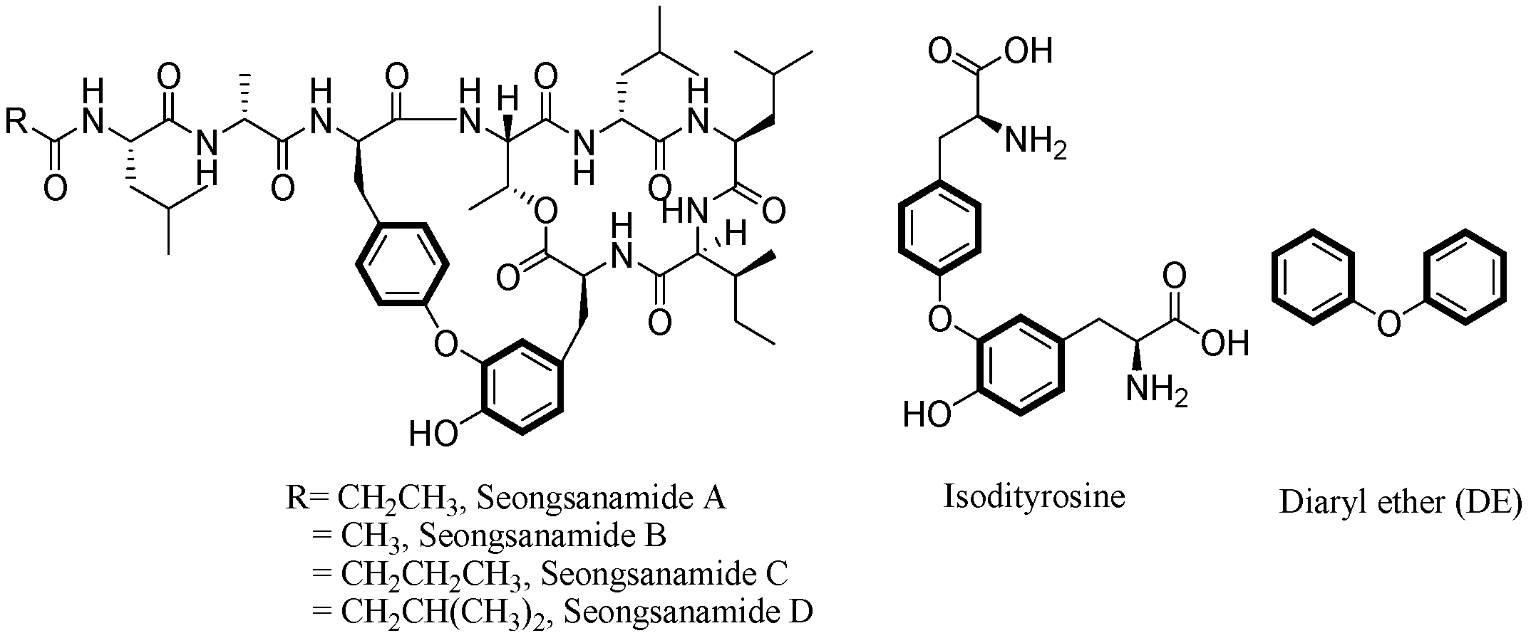 Synthesis of the Isodityrosine Moiety of Seongsanamide A–D and Its
